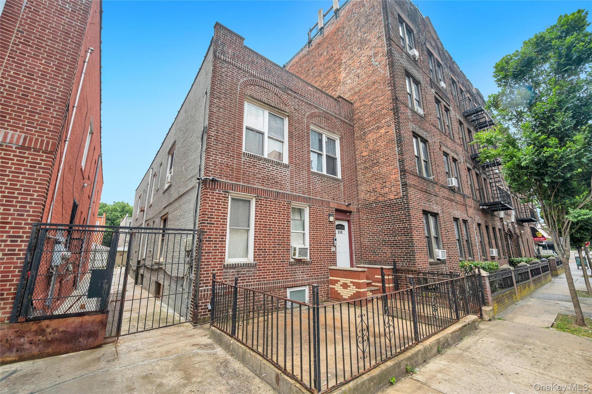 558 Midwood St
