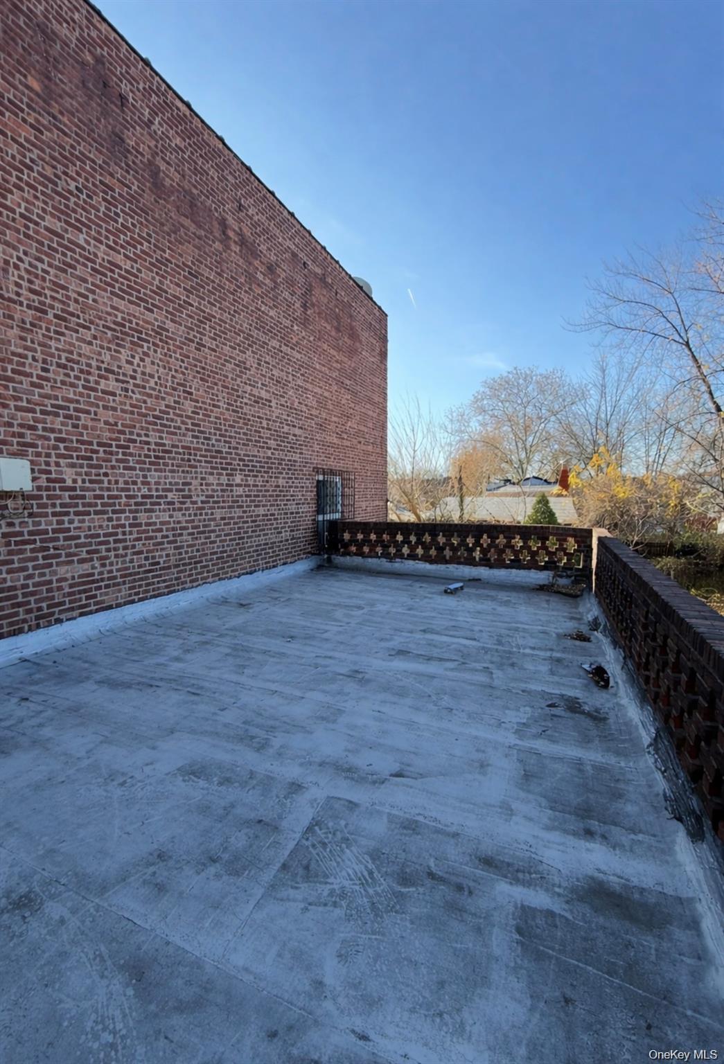 218 E 88th Street Property Photo 4