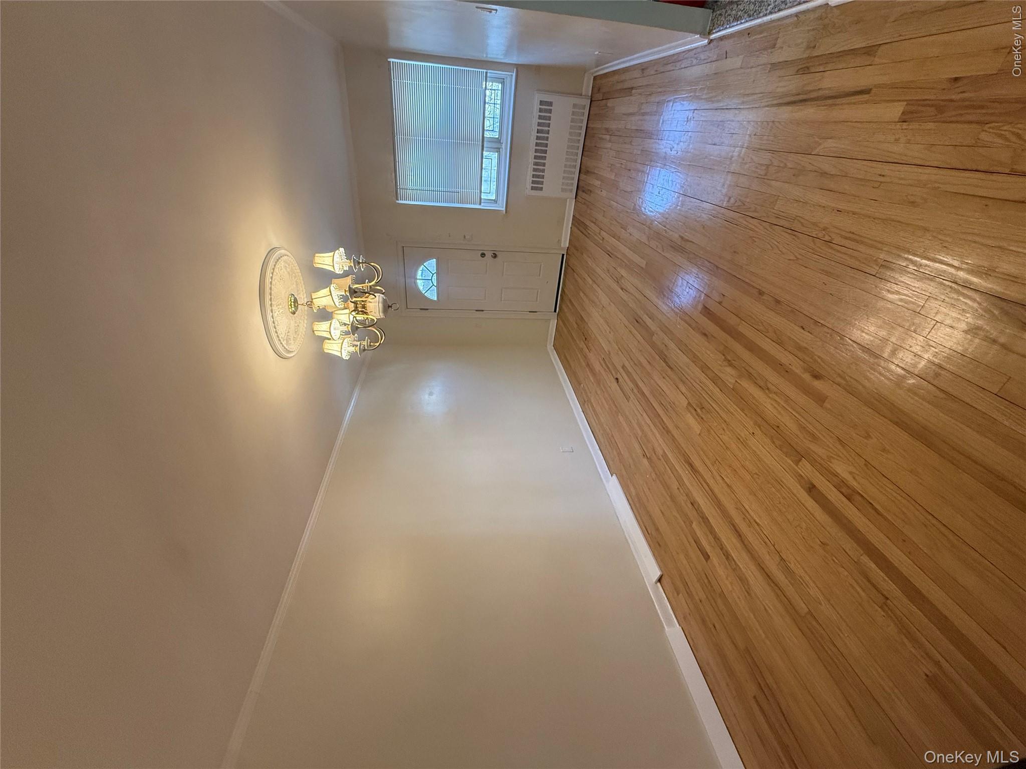 218 E 88th Street Property Photo 8