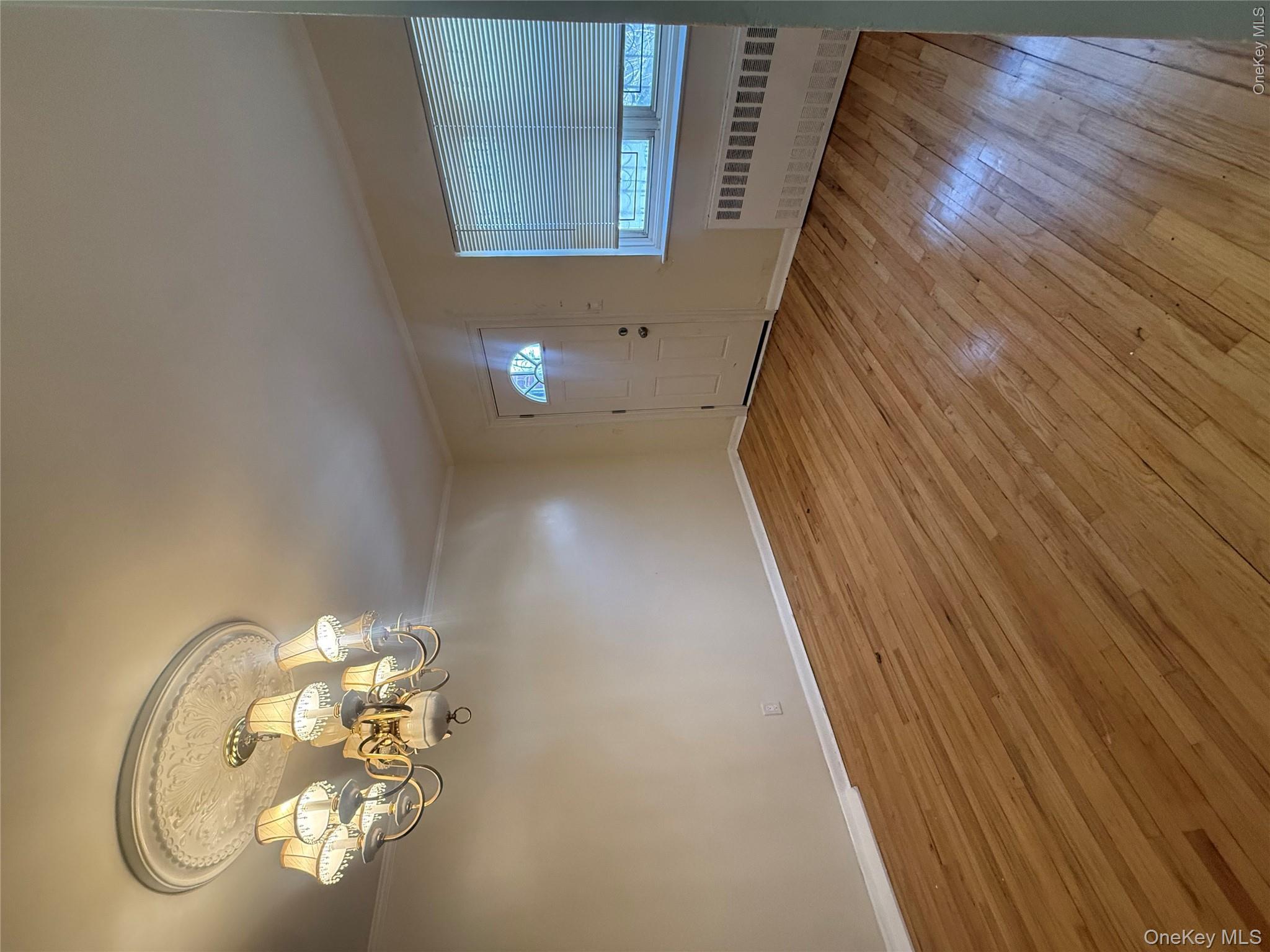 218 E 88th Street Property Photo 9