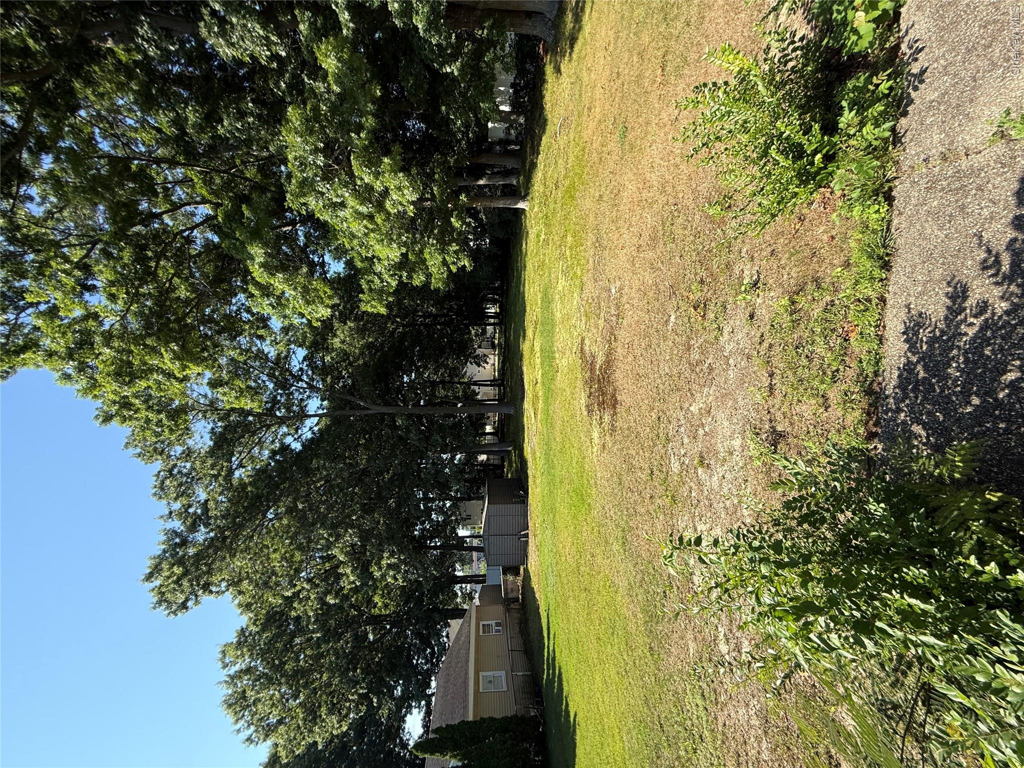 4 Sachs Street Property Photo 11