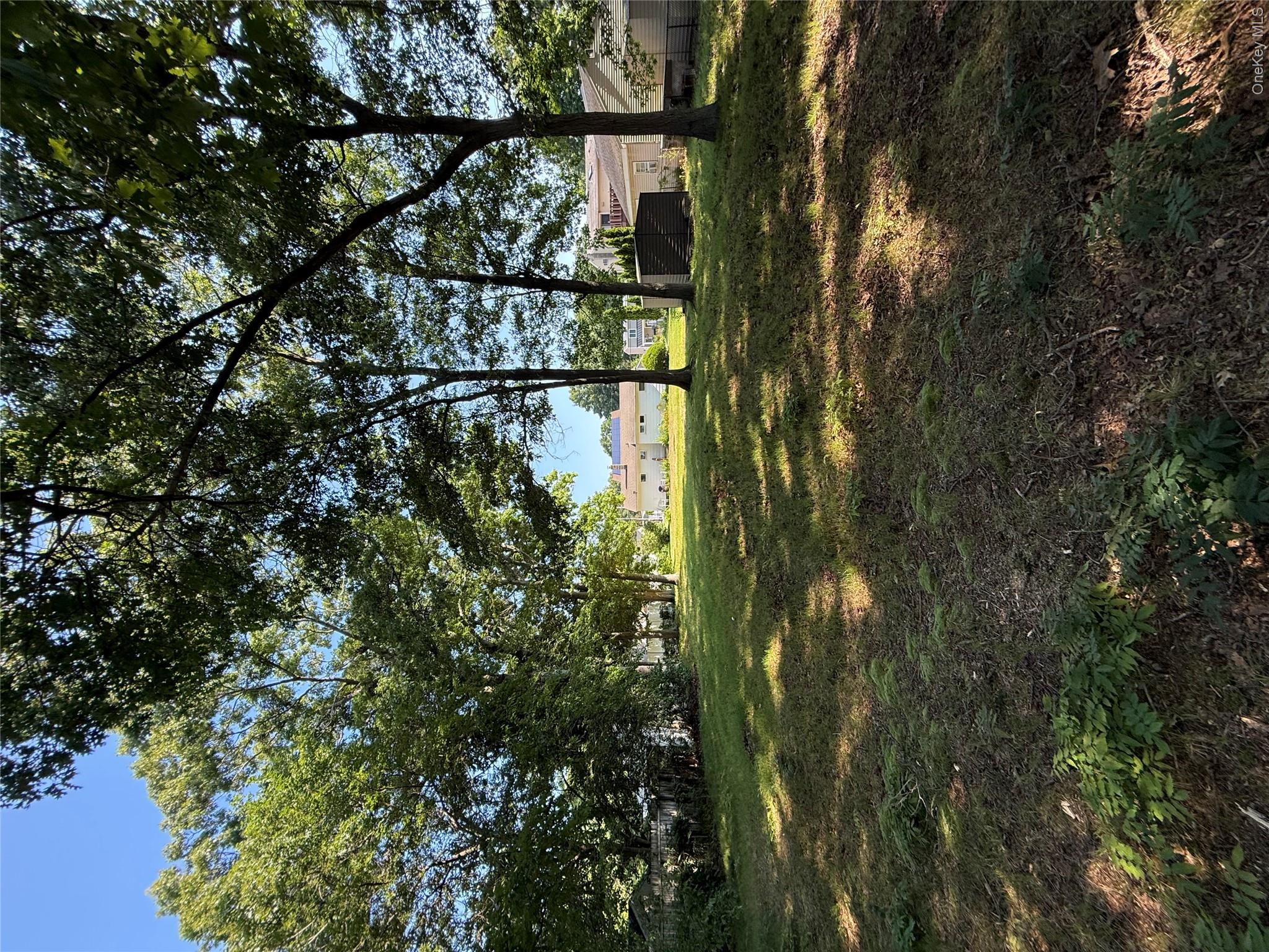 4 Sachs Street Property Photo 12