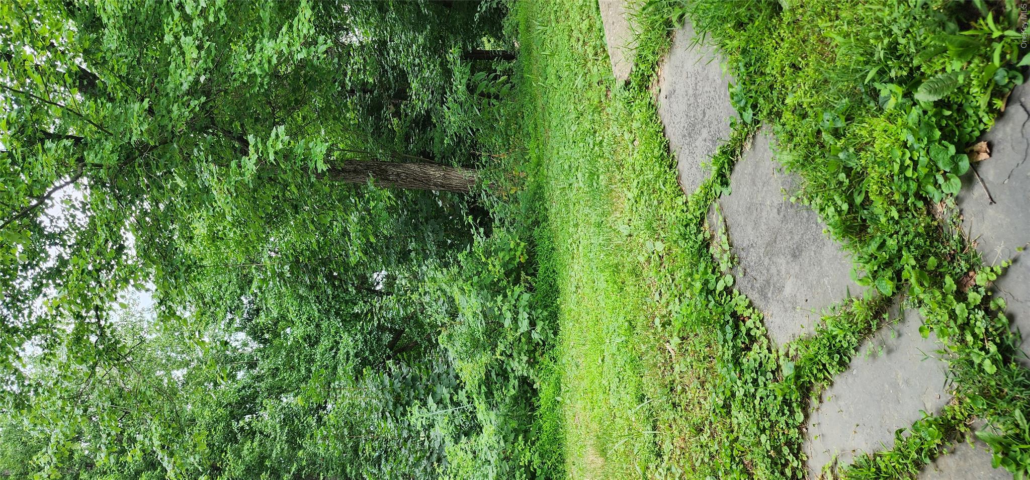 48 Gleason Boulevard Property Photo 37