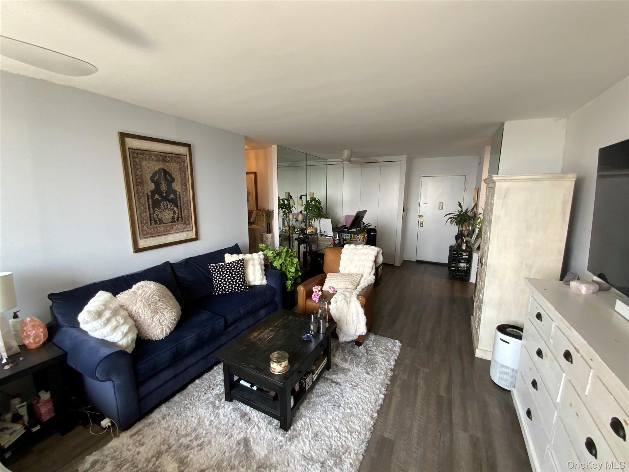 26910 Grand Central Parkway 31c Property Photo 3