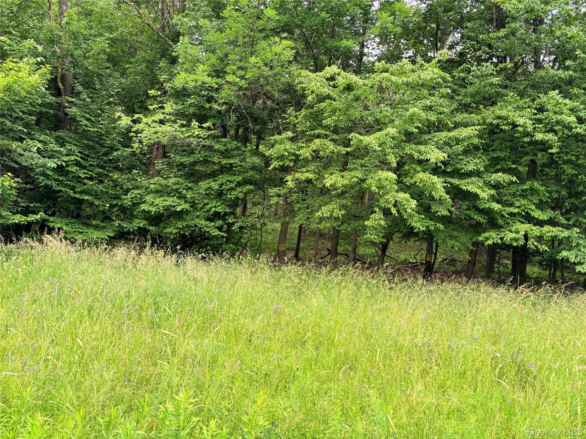 T R 84 Property Photo 1