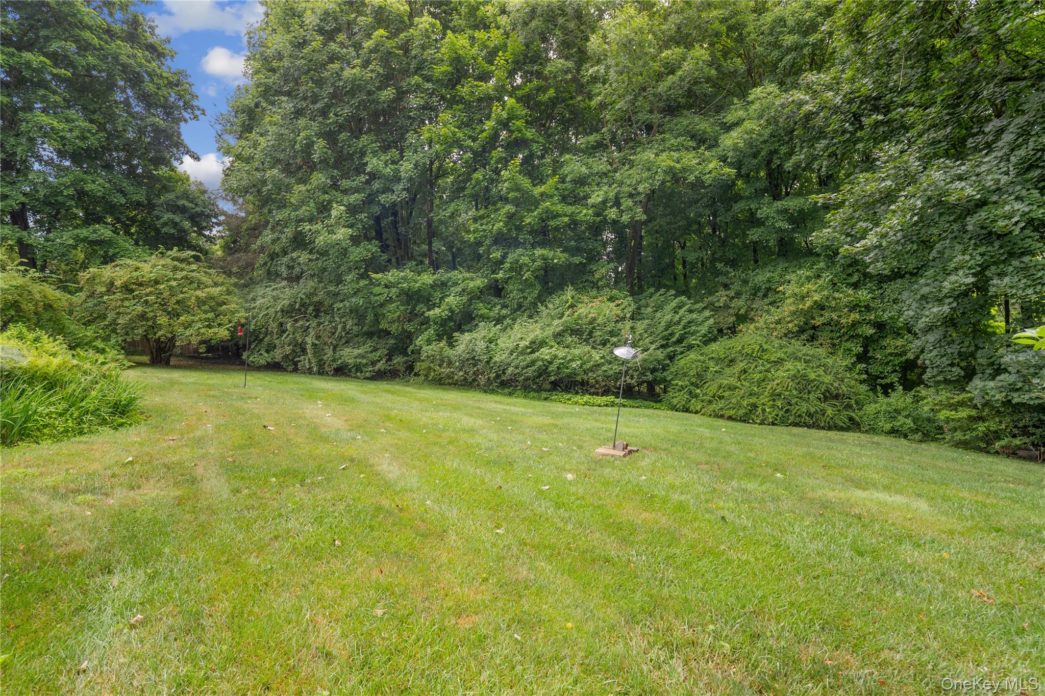50 Ludlow Drive Property Photo 5