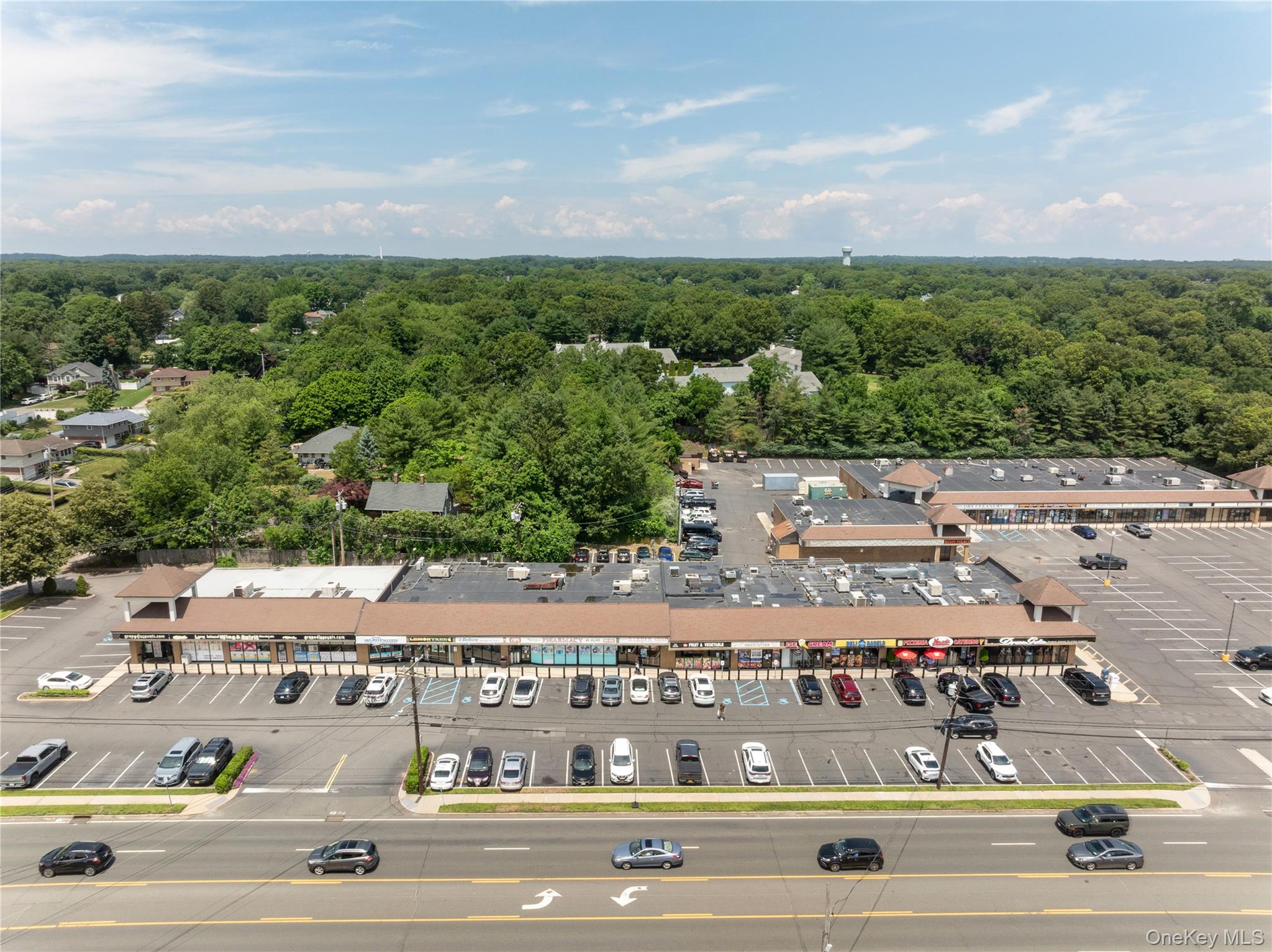 1139-7 Jericho Turnpike Property Photo 1
