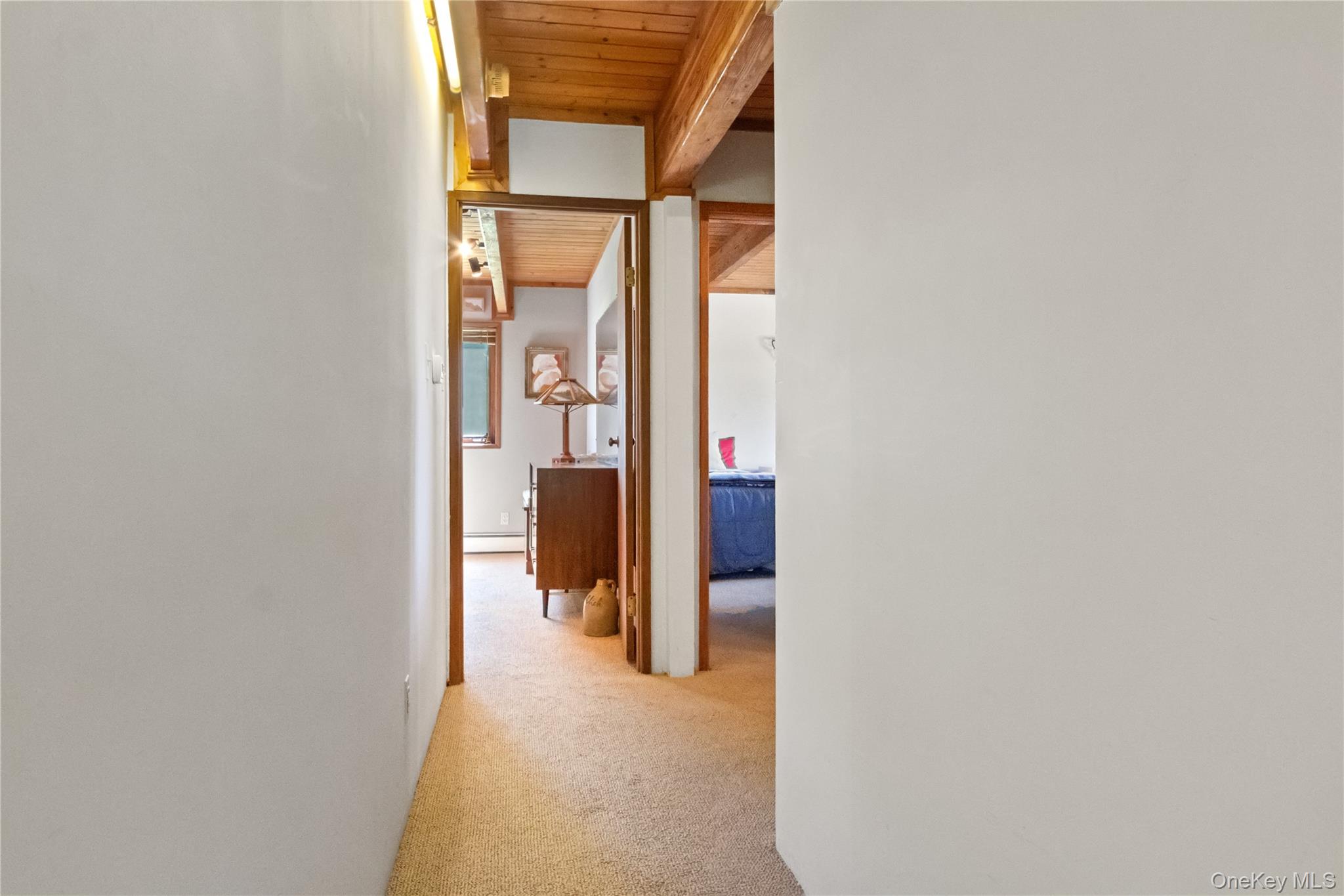 4 Bellview Drive Property Photo 23