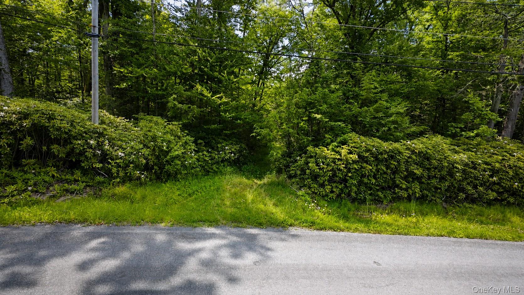 Taylor Road Property Photo 3