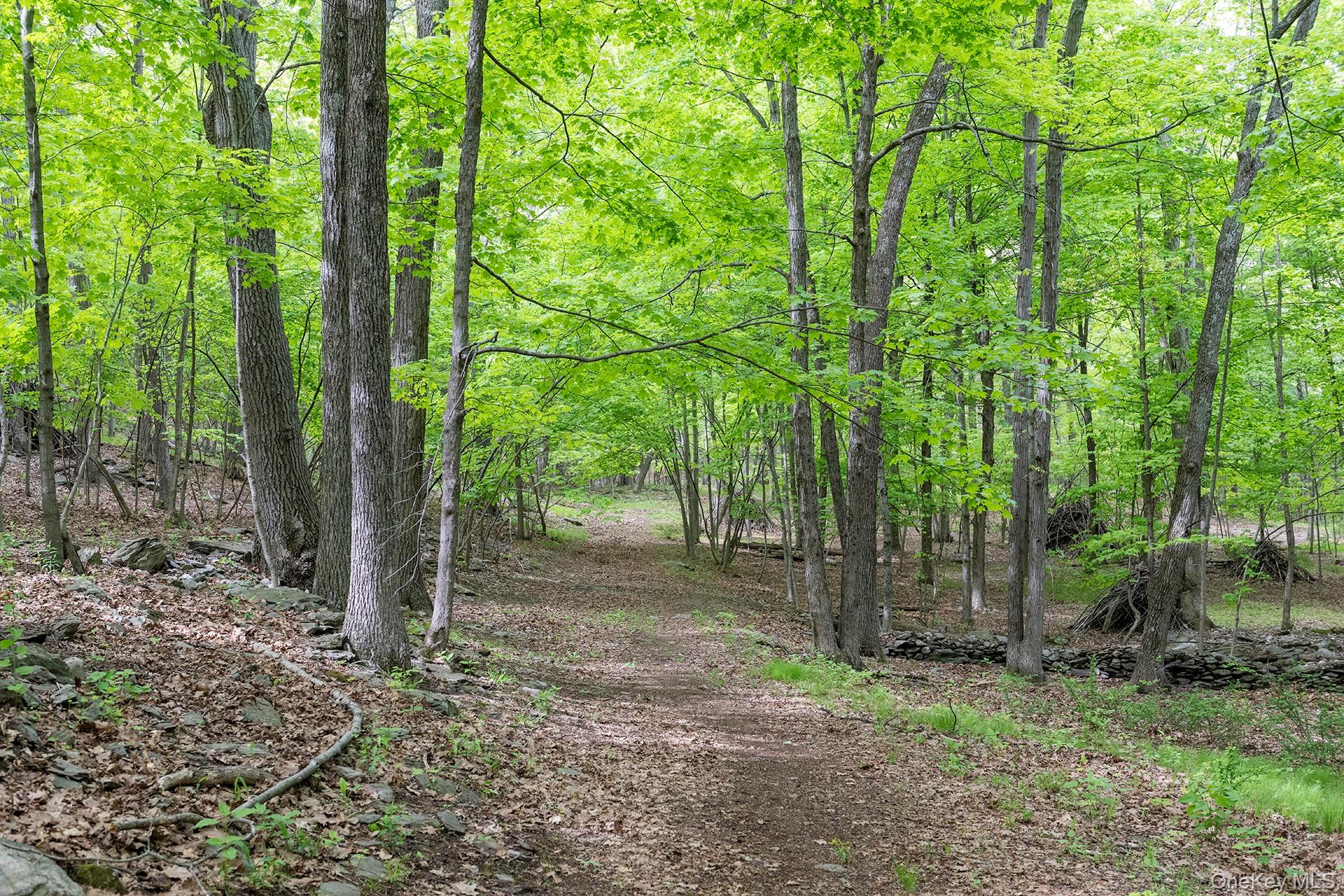 17 Skytop Ridge Property Photo 23