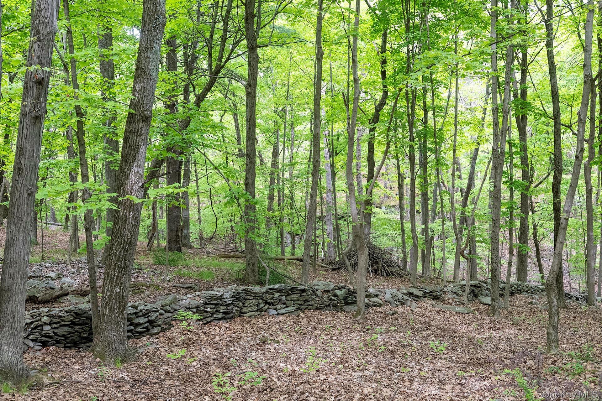 17 Skytop Ridge Property Photo 25