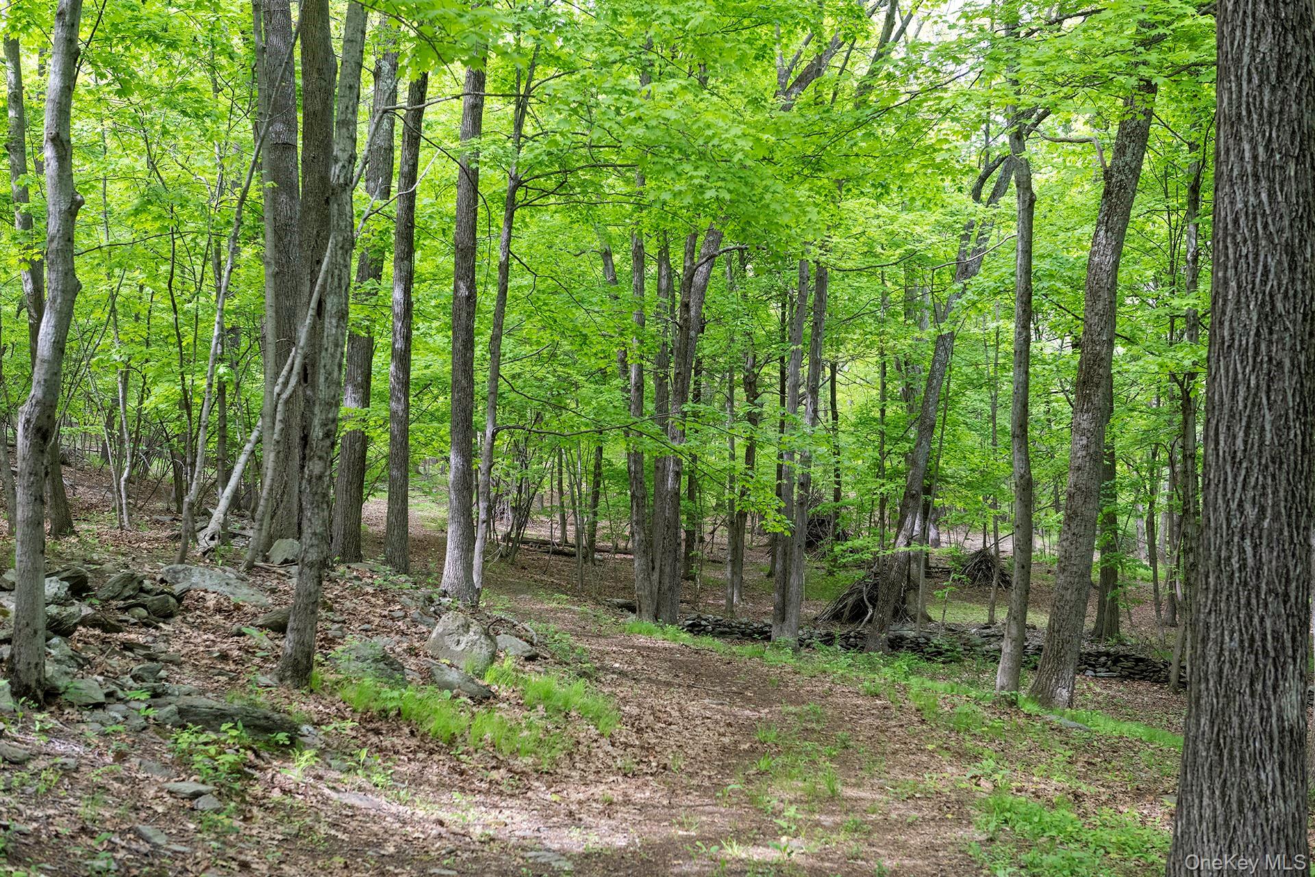 17 Skytop Ridge Property Photo 40