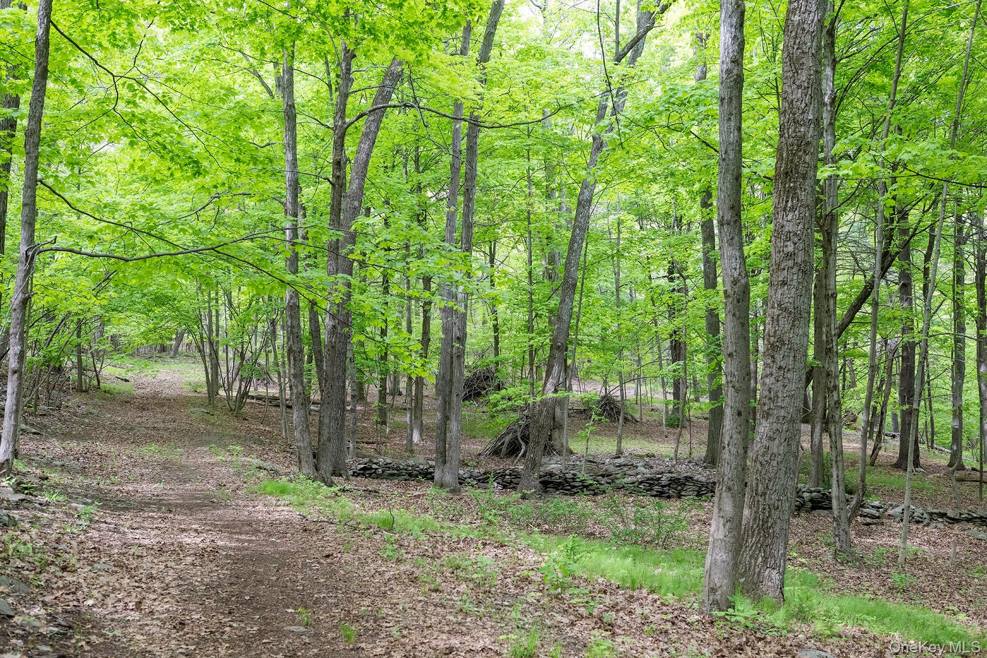17 Skytop Ridge Property Photo 41