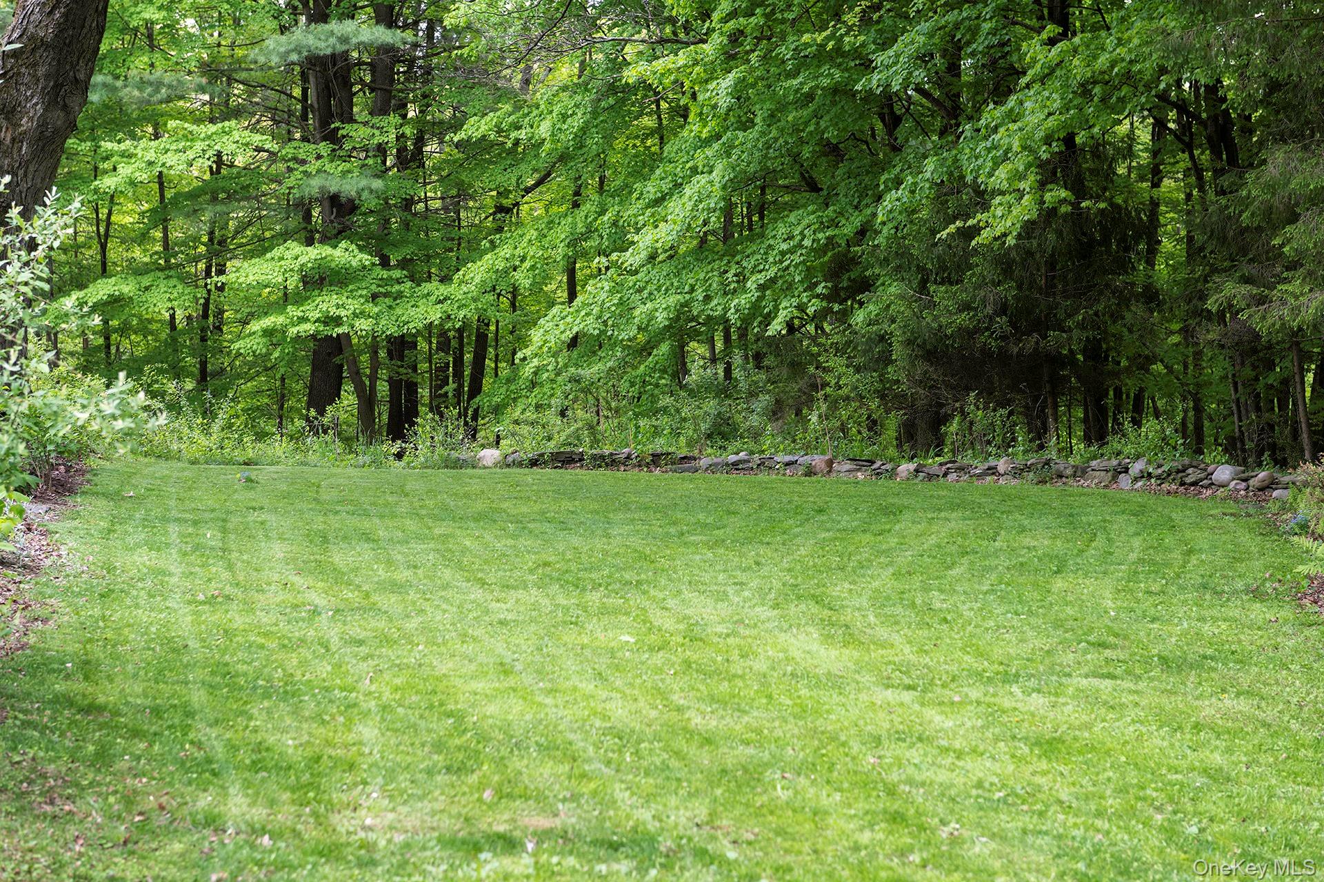 17 Skytop Ridge Property Photo 46