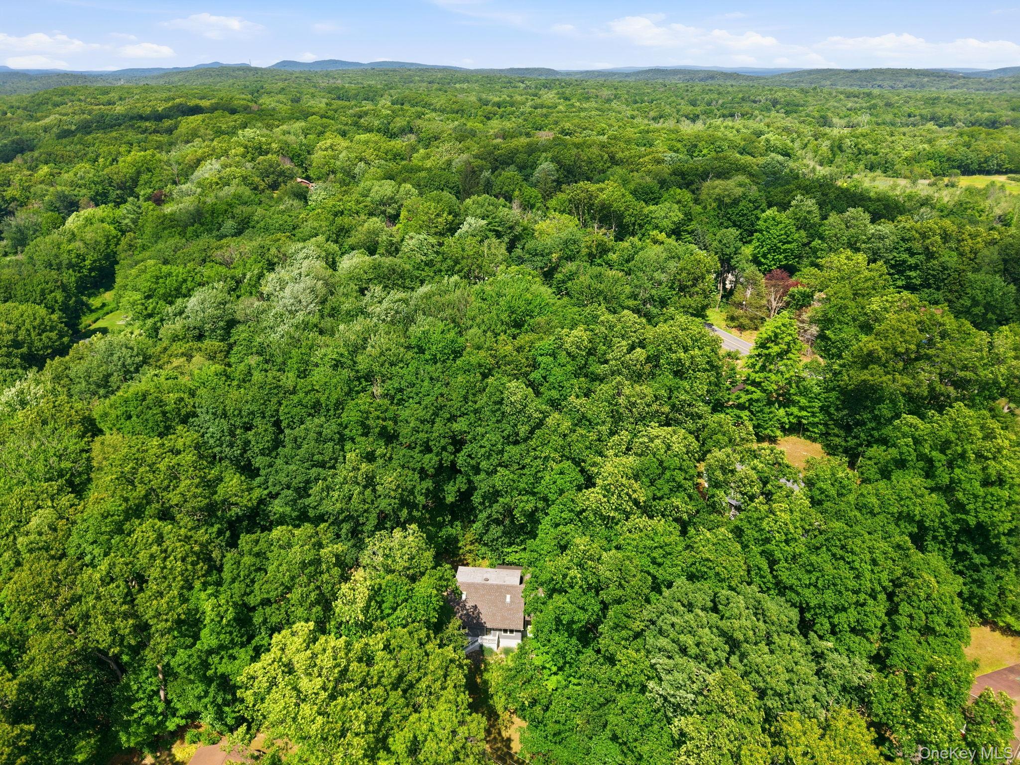 3 Dogwood Hollow Property Photo 30