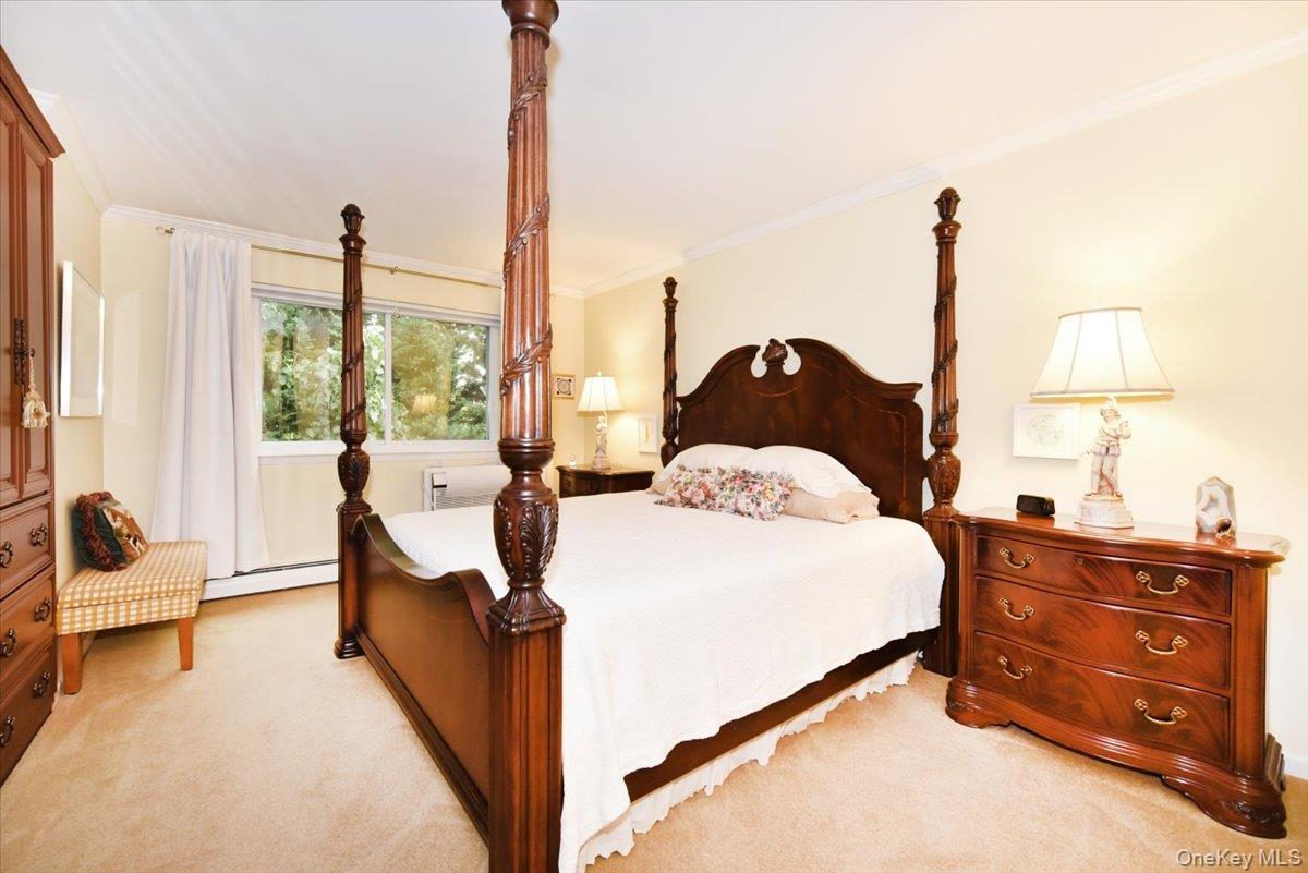 320 E Shore Road 11c Property Photo 22