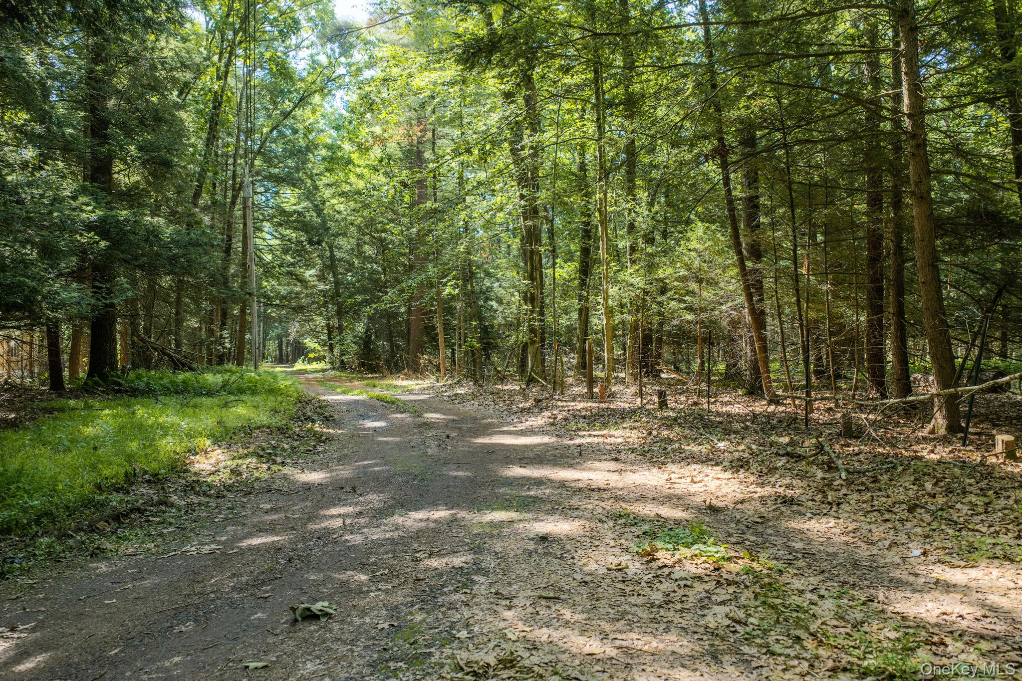 182 Route 209 Property Photo 41