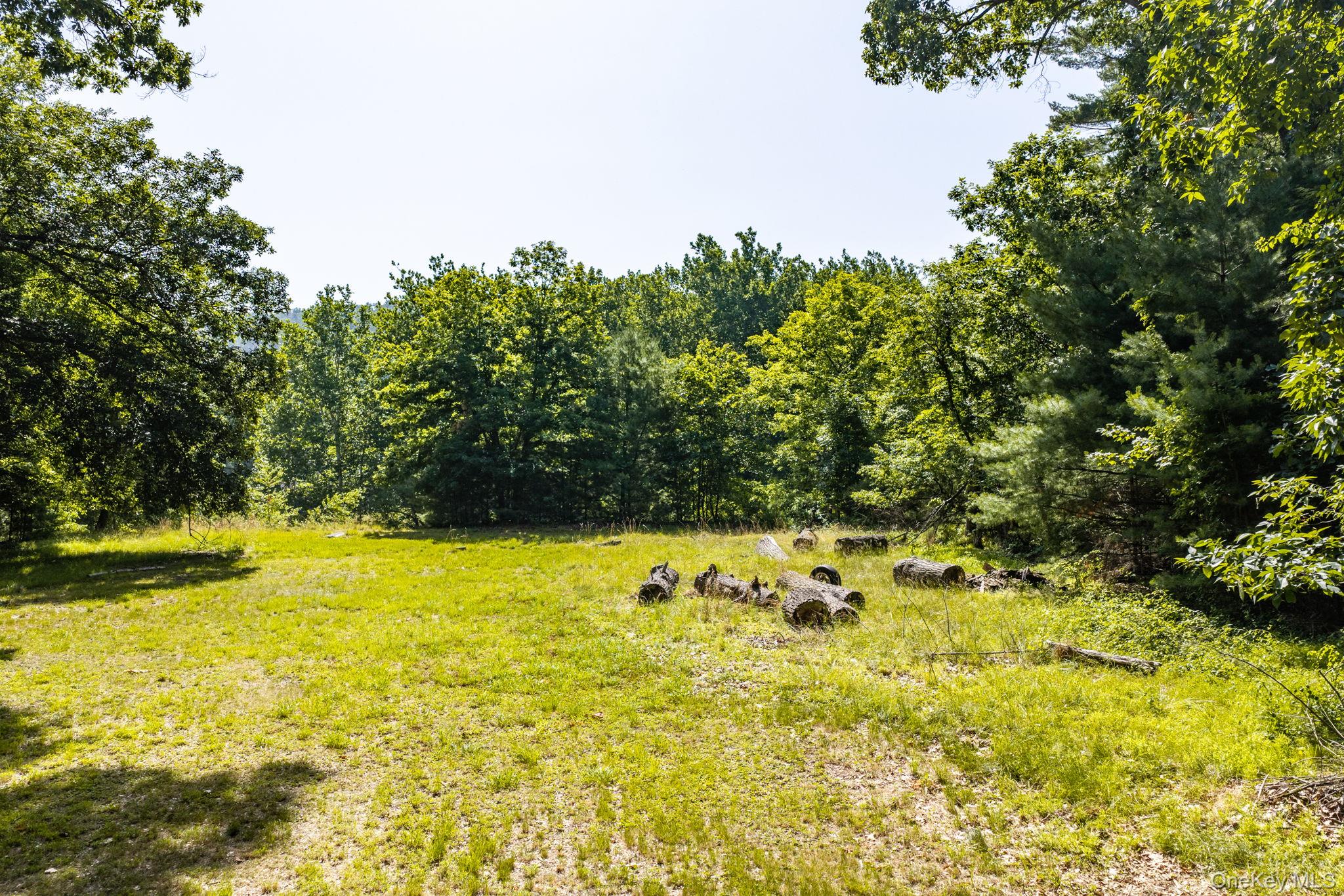 182 Route 209 Property Photo 46
