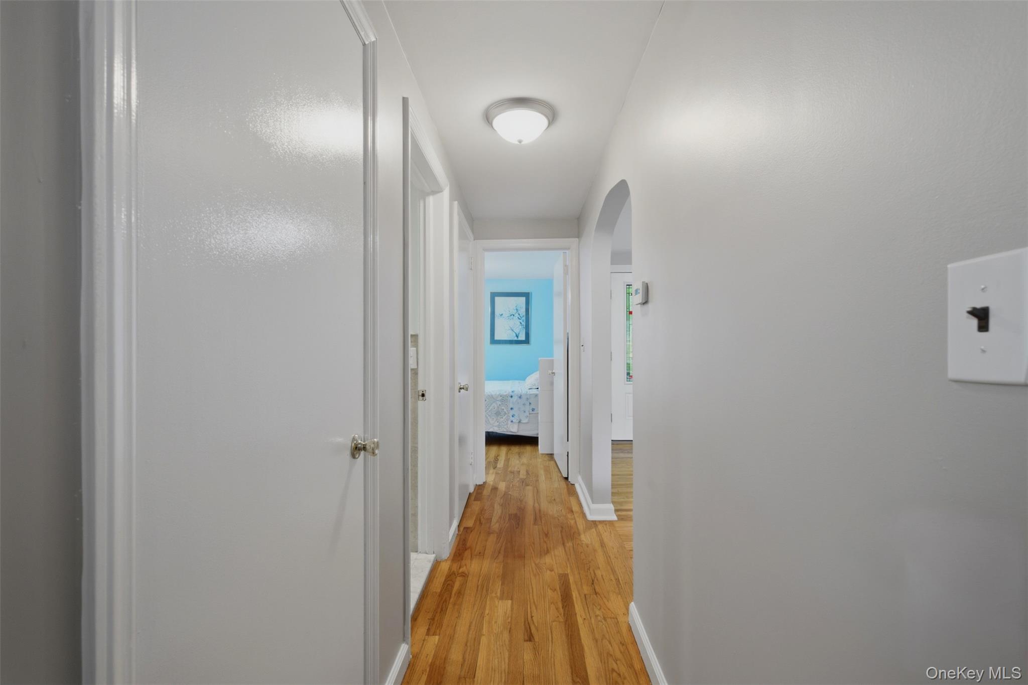 16 Ward Street Property Photo 23