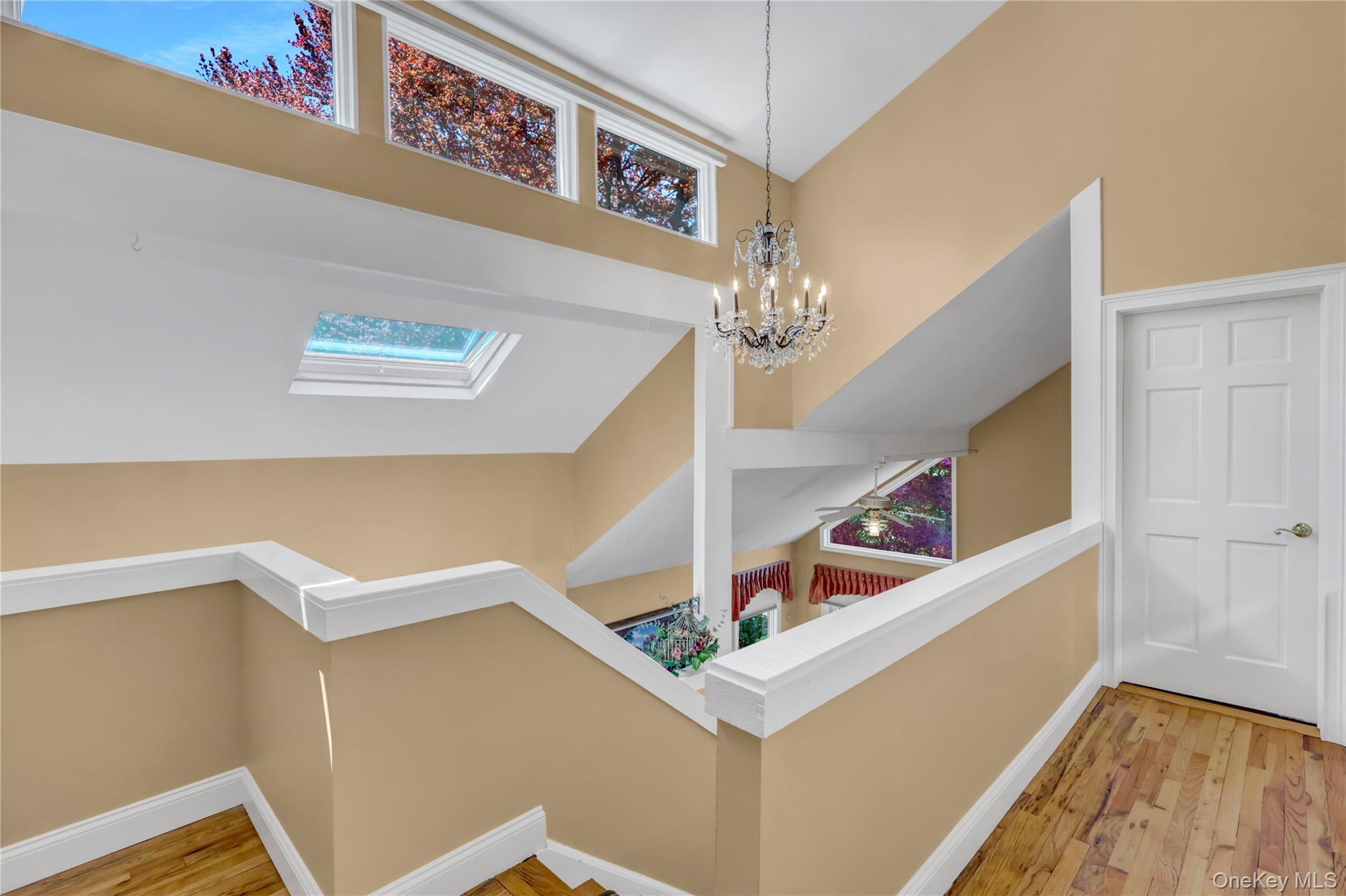 9 Ernest Court Property Photo 19