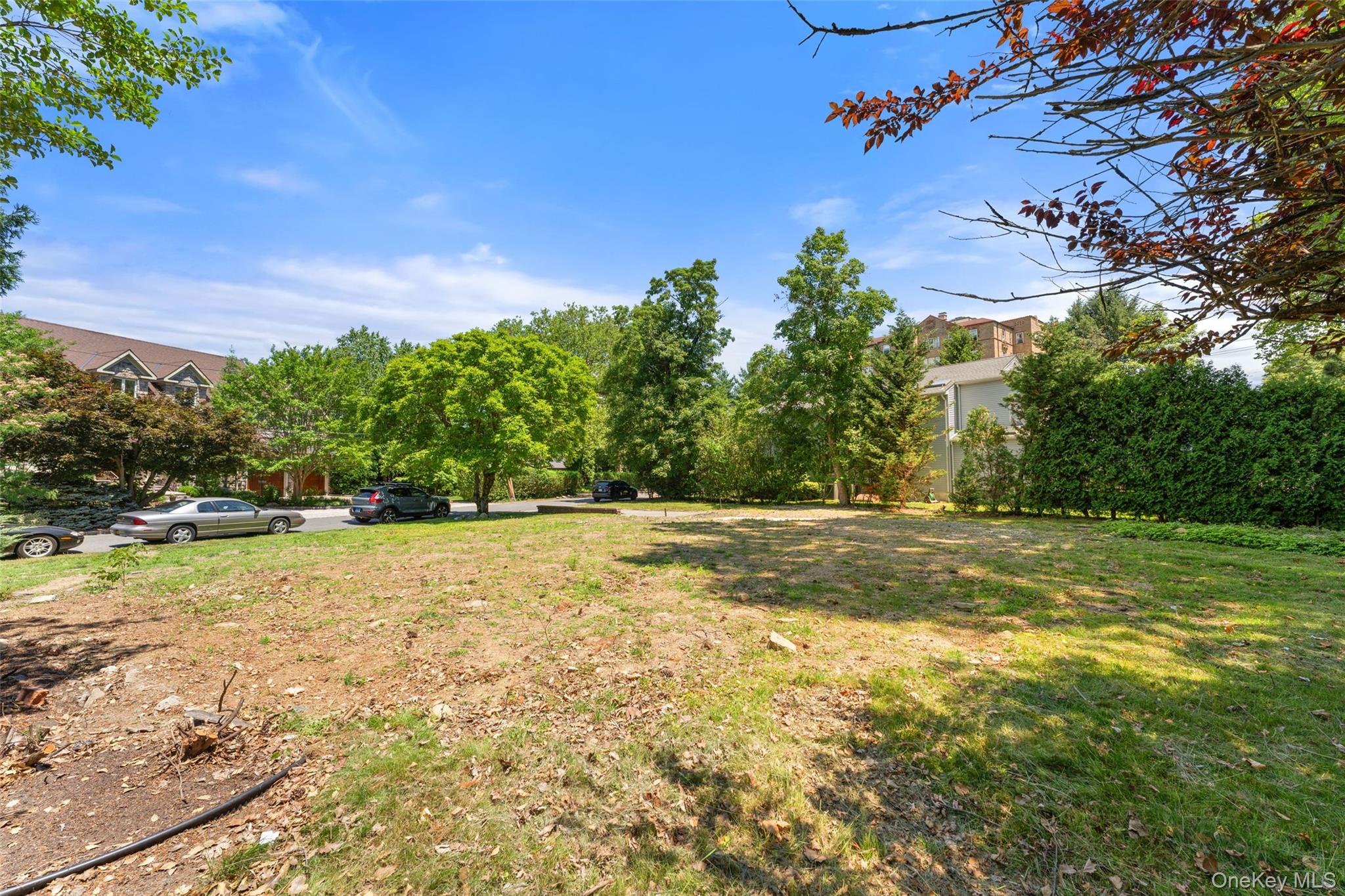819 The Crescent Property Photo 5