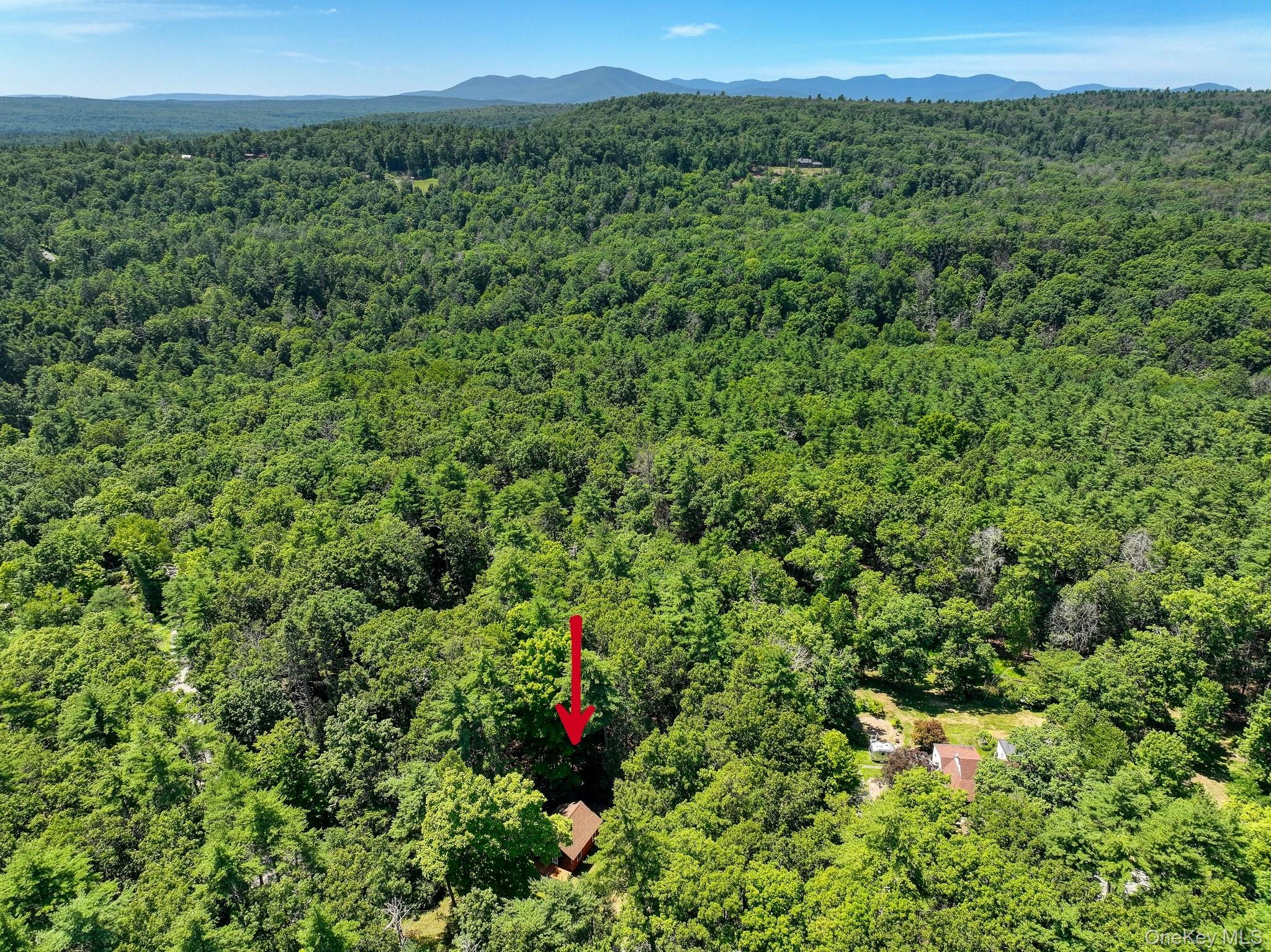 234 Canary Hill Road Property Photo 41