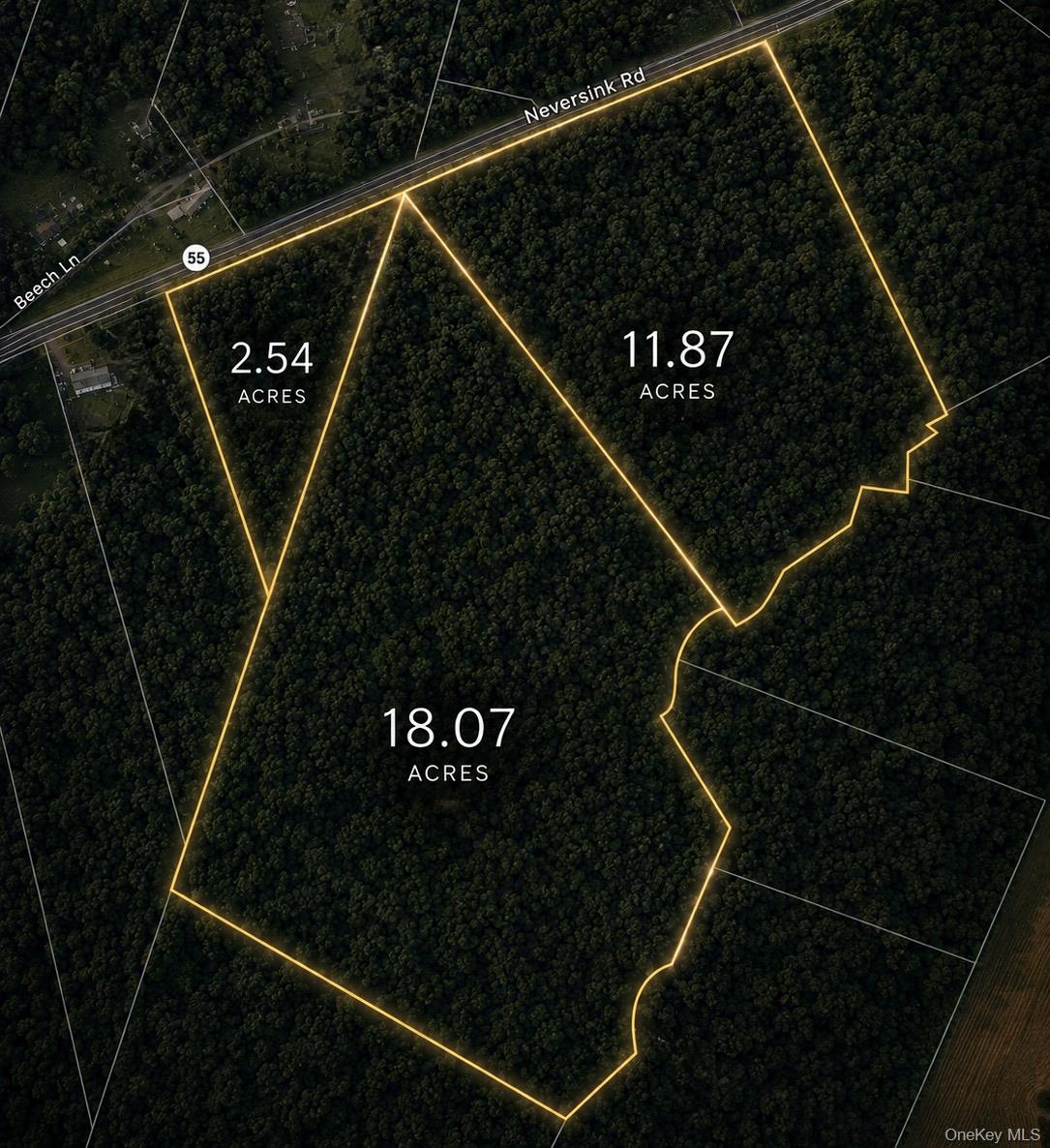 3 Lots Neversink Road Property Photo 1