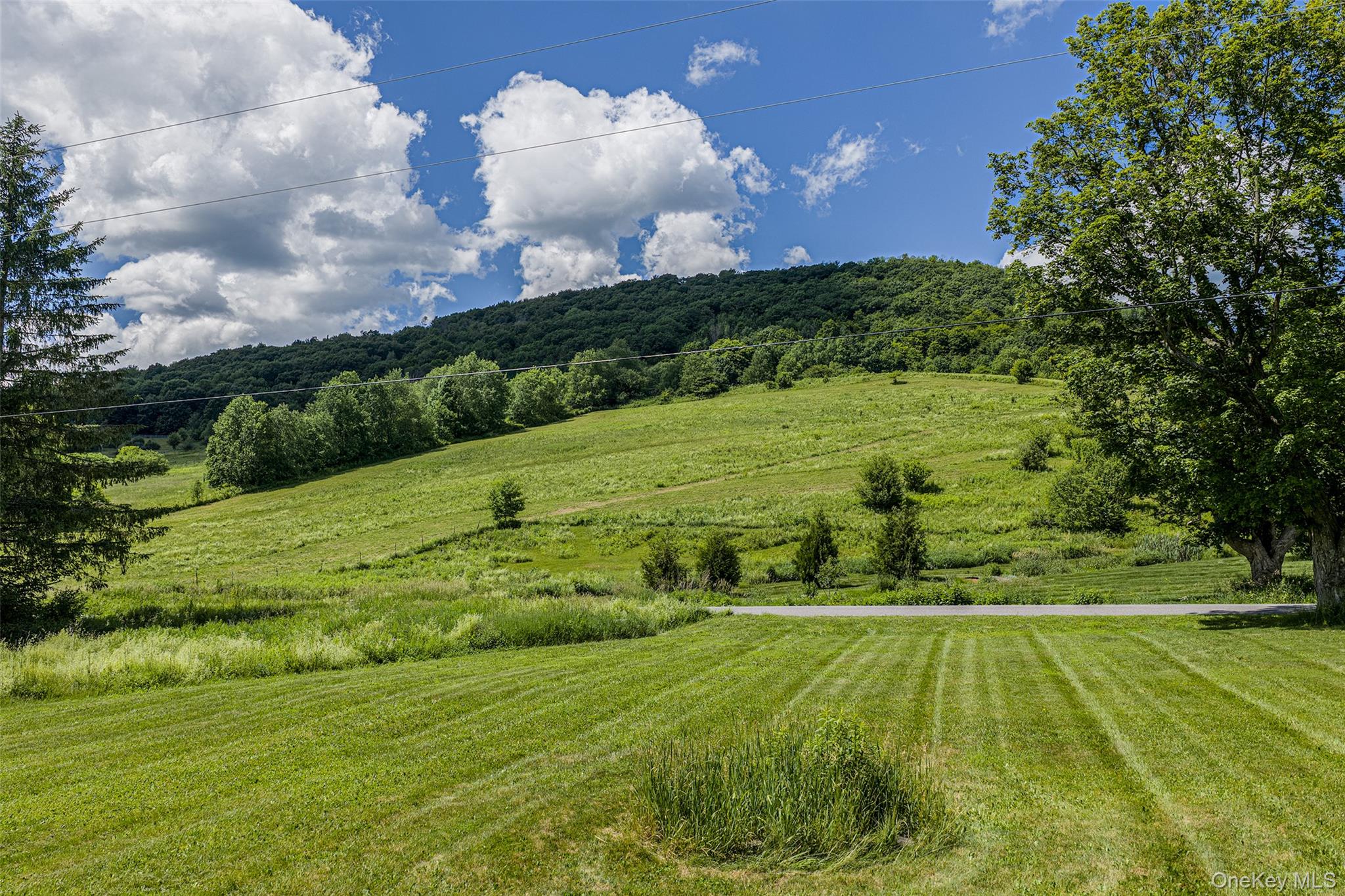 1780 Roses Brook Road Property Photo 35