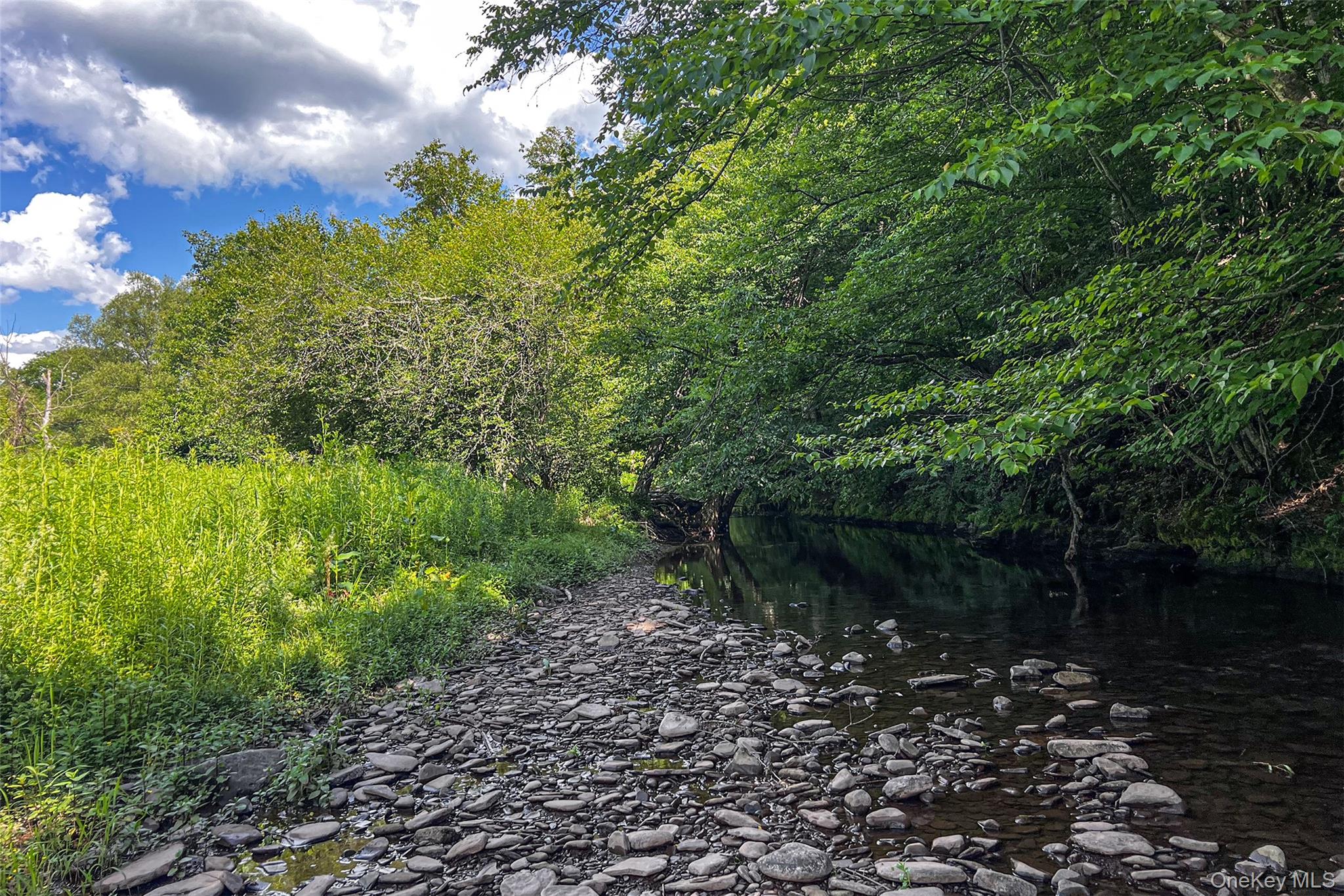 1780 Roses Brook Road Property Photo 40