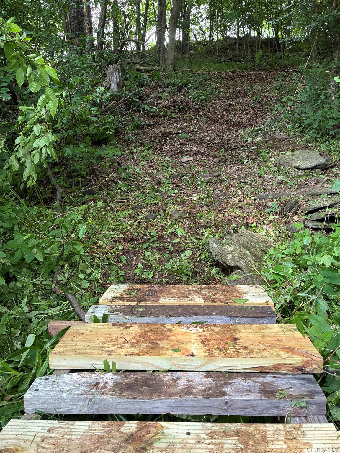 1780 Roses Brook Road Property Photo 44