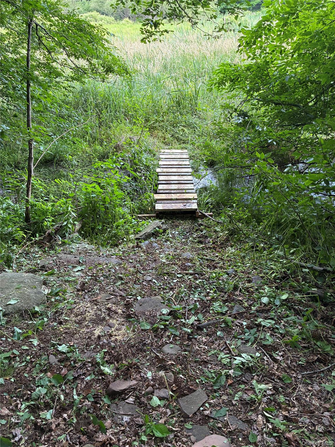 1780 Roses Brook Road Property Photo 45