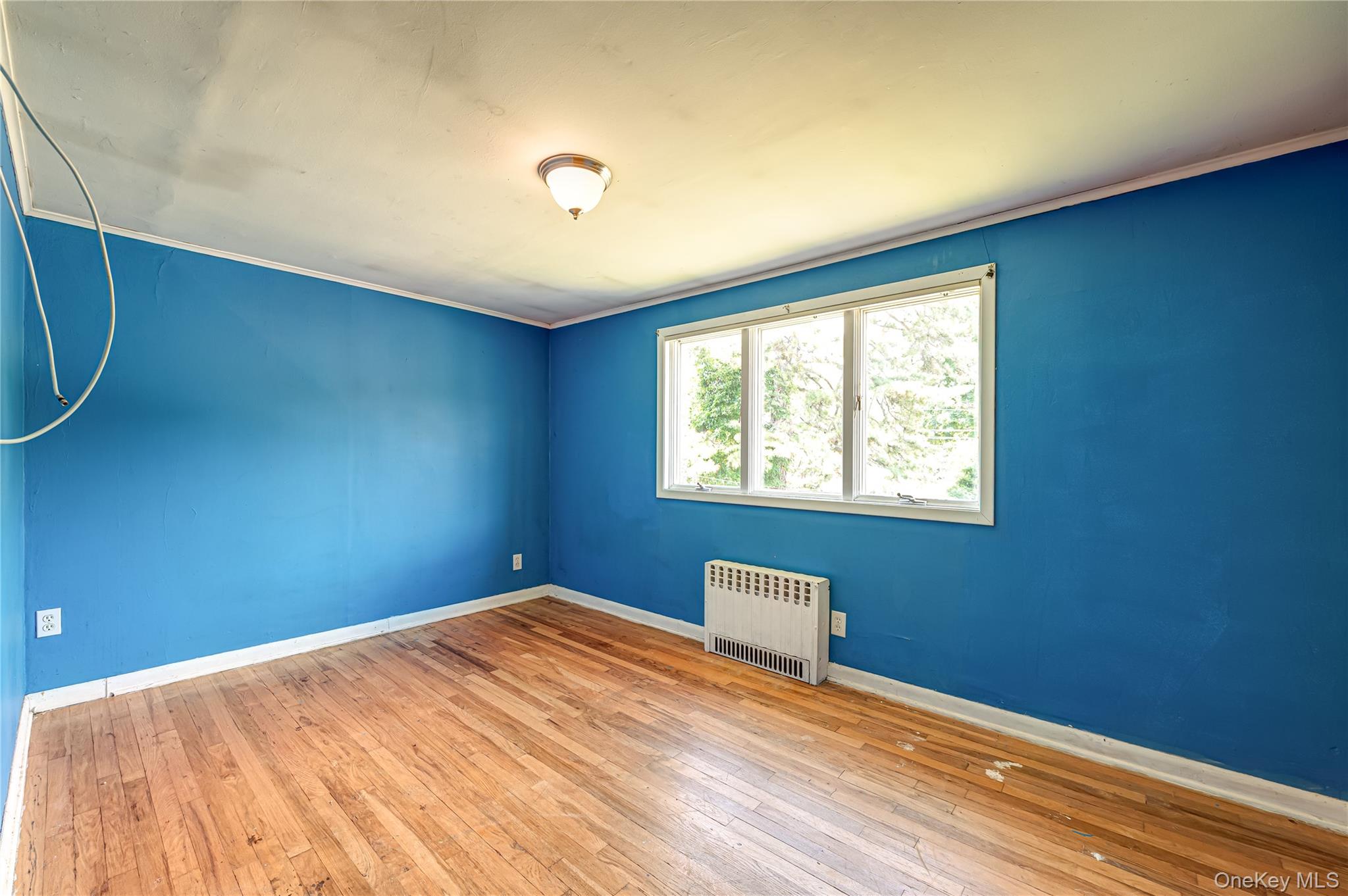 118 Tamarack Street Property Photo 19