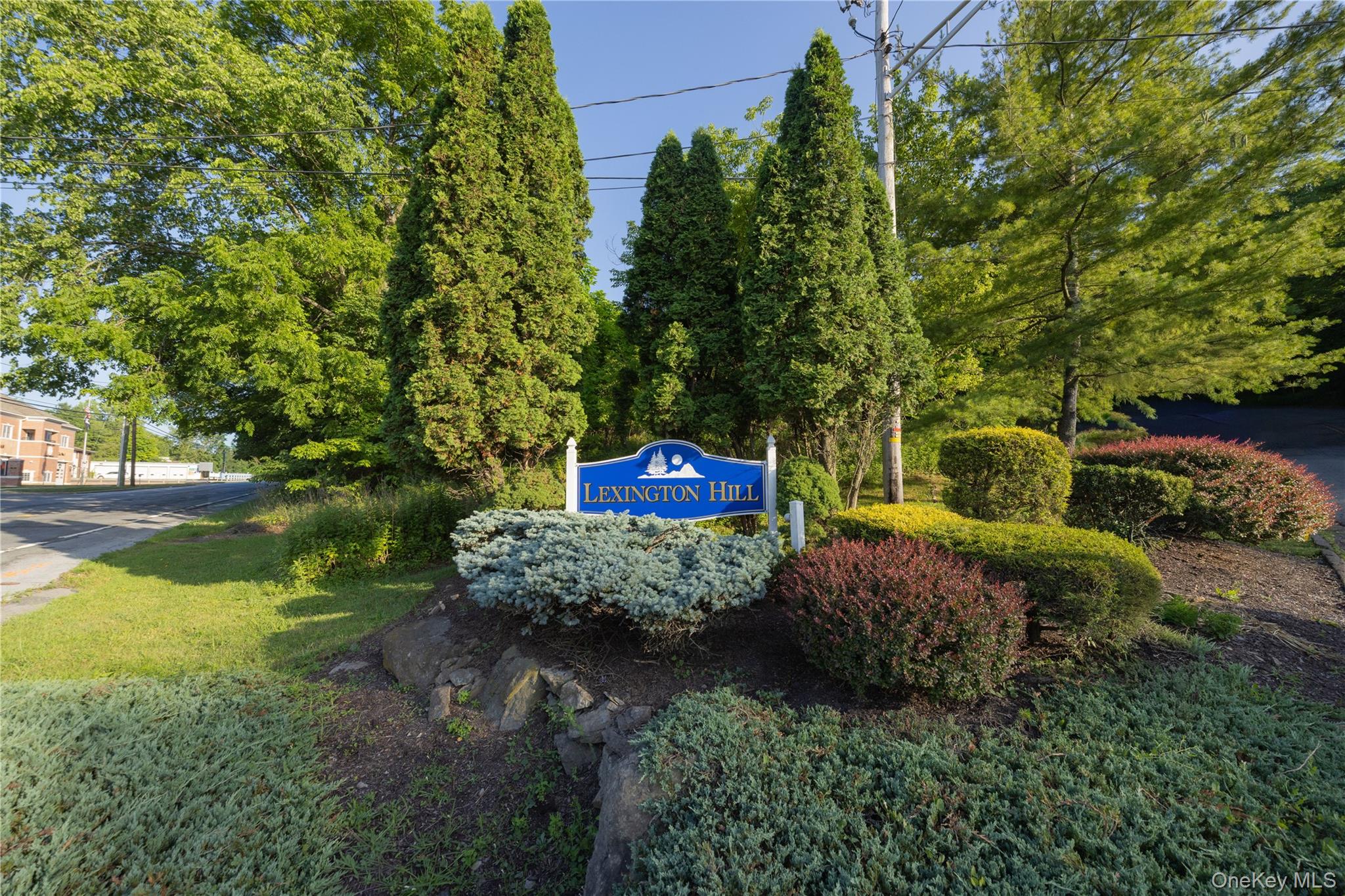27 Lexington Hill 8 Property Photo 1