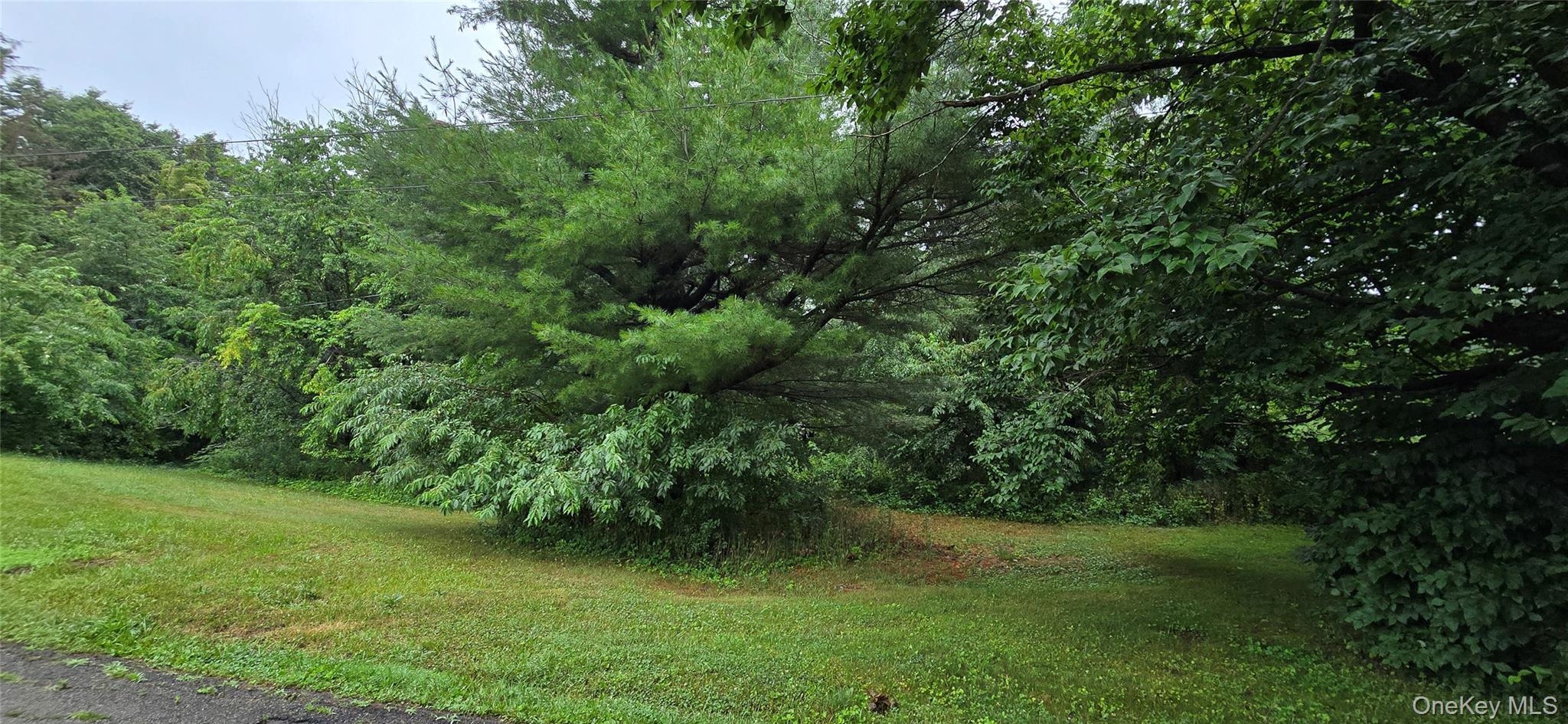 # Calvin Drive Property Photo 3