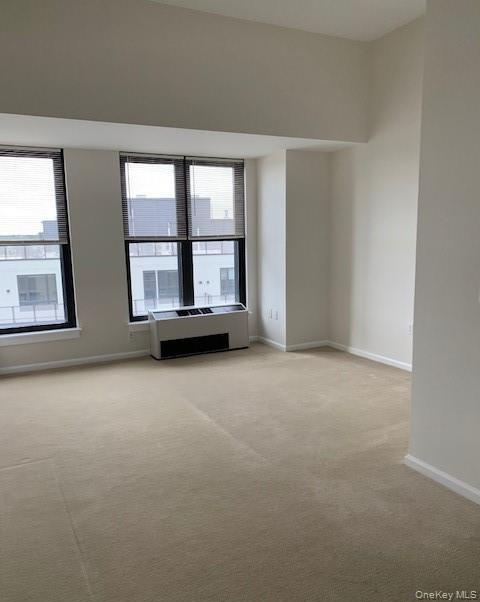 100 New Roc City Place 204 Property Photo 10