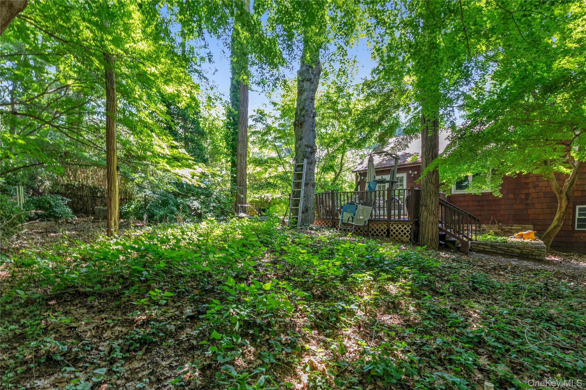 21 Laurel Avenue Property Photo 19