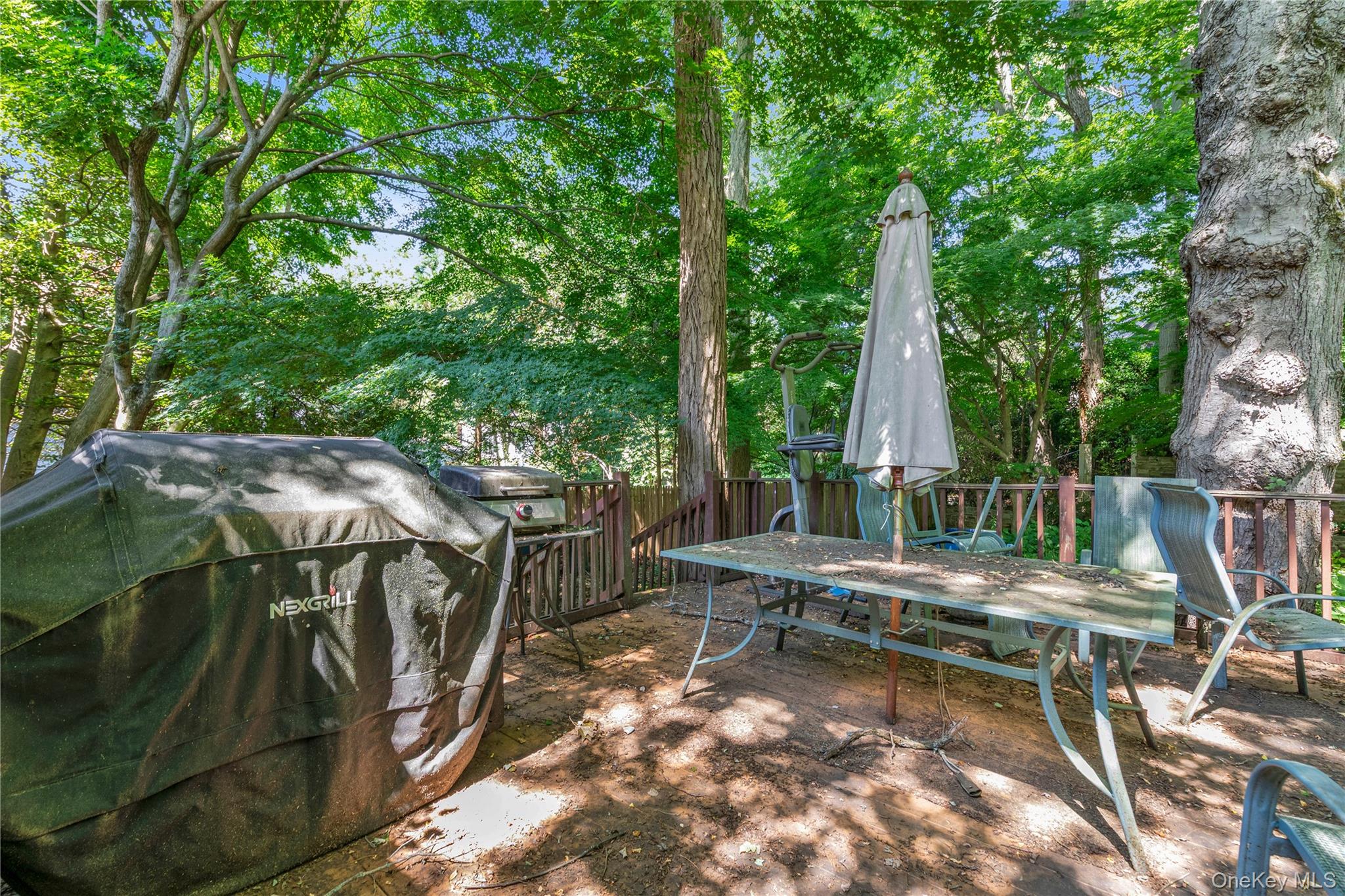 21 Laurel Avenue Property Photo 21
