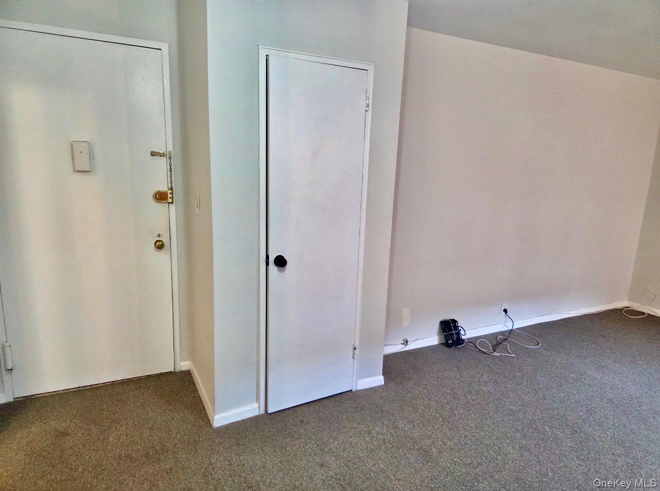 100 Lincoln Avenue 7b Property Photo 8