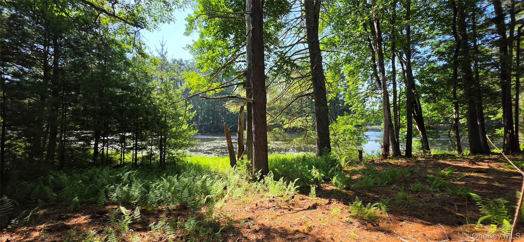 80 Beaver Brook Road Property Photo 20