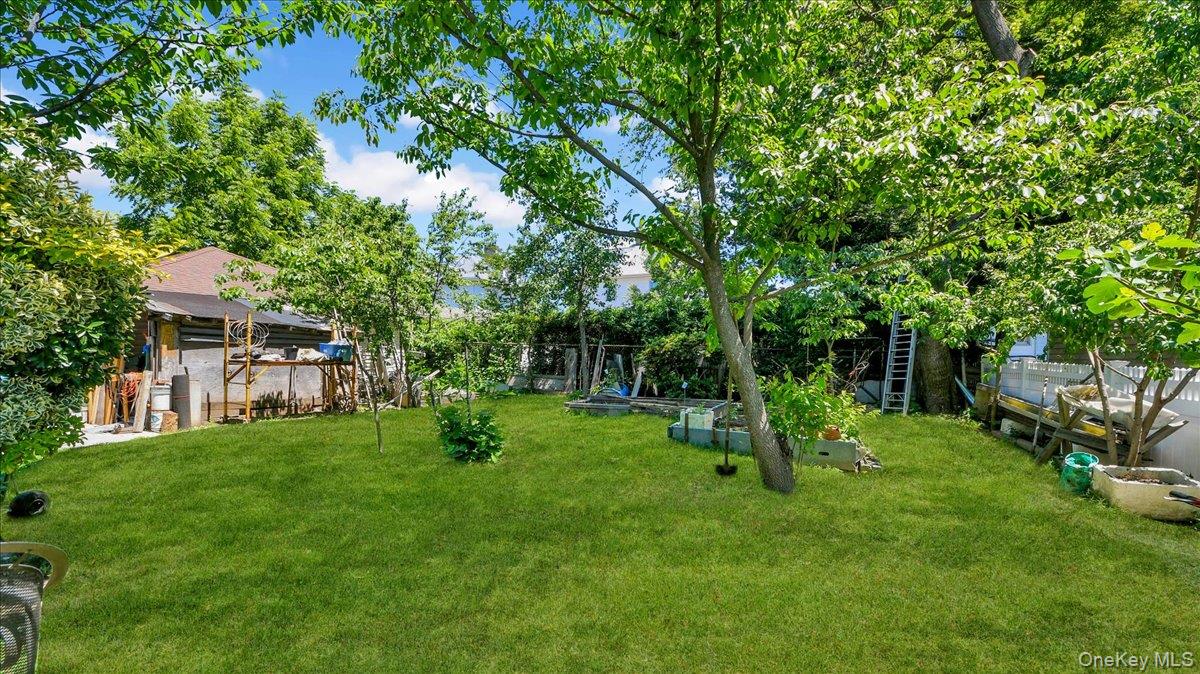 228 Weyman Avenue Property Photo 4