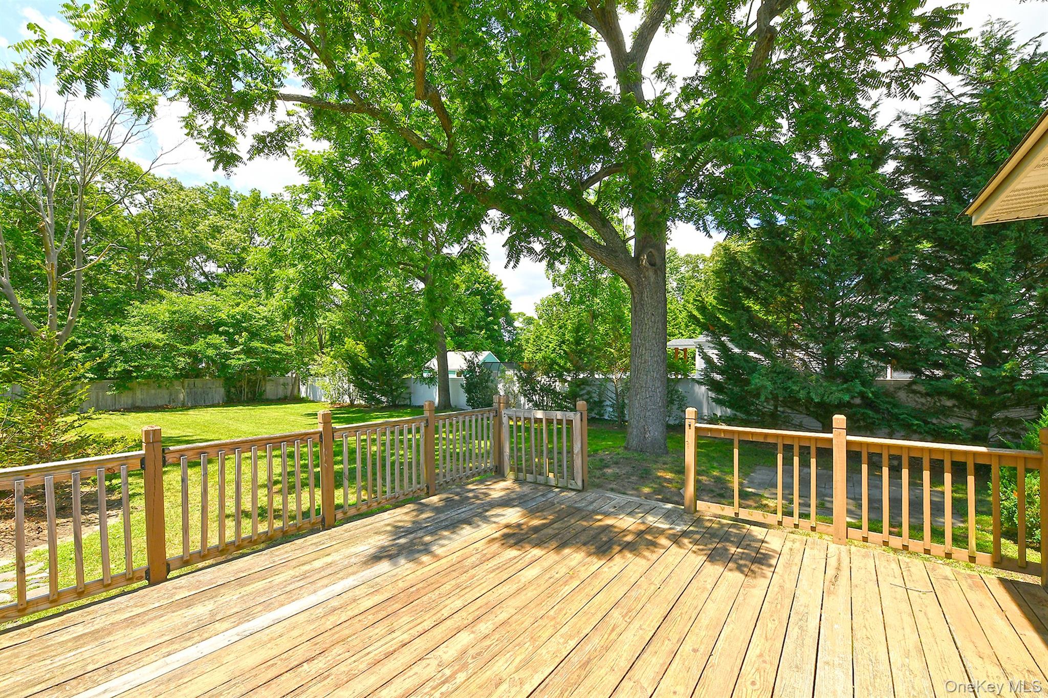38 Roosevelt Avenue Property Photo 22