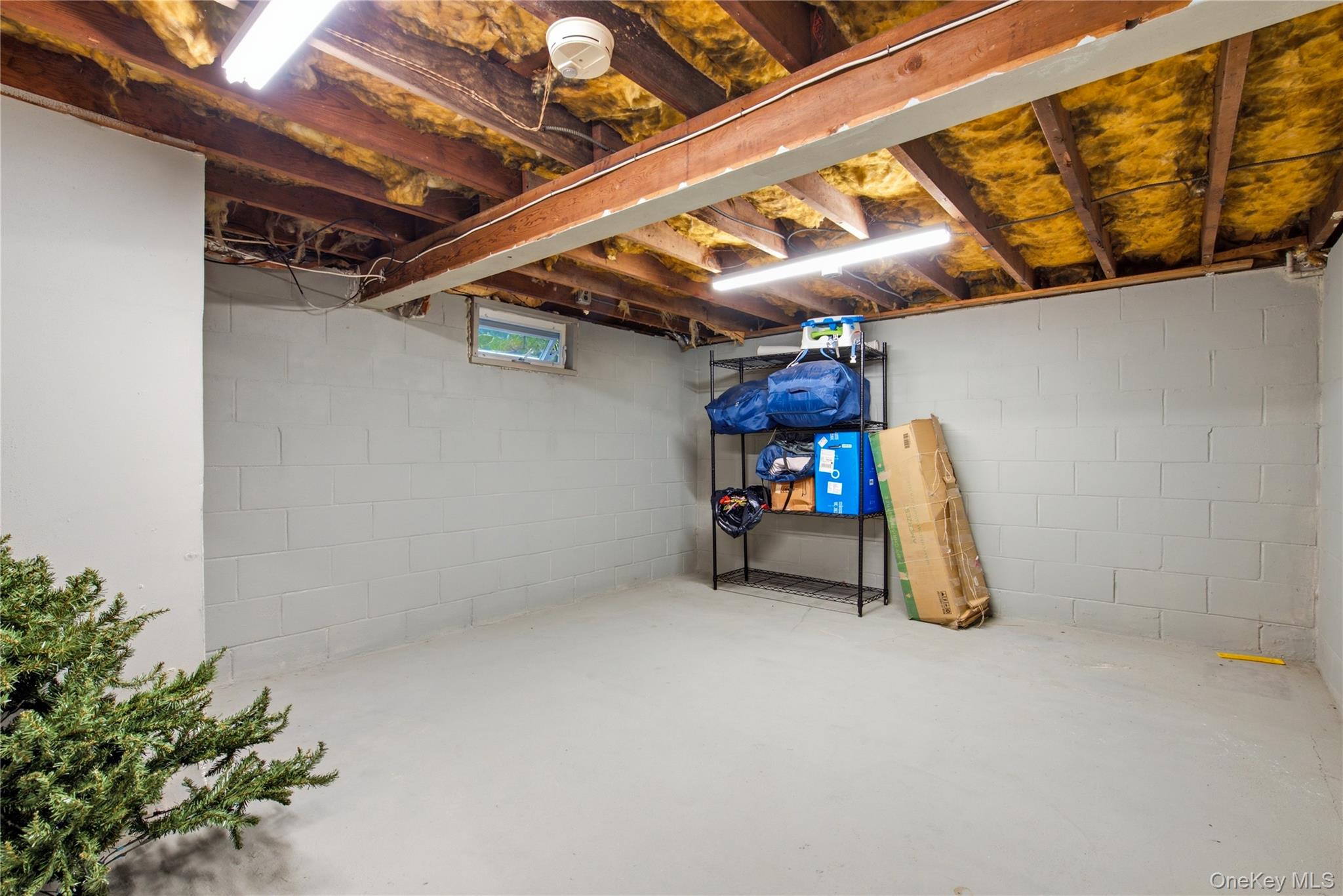 3 Parkside Avenue Property Photo 22