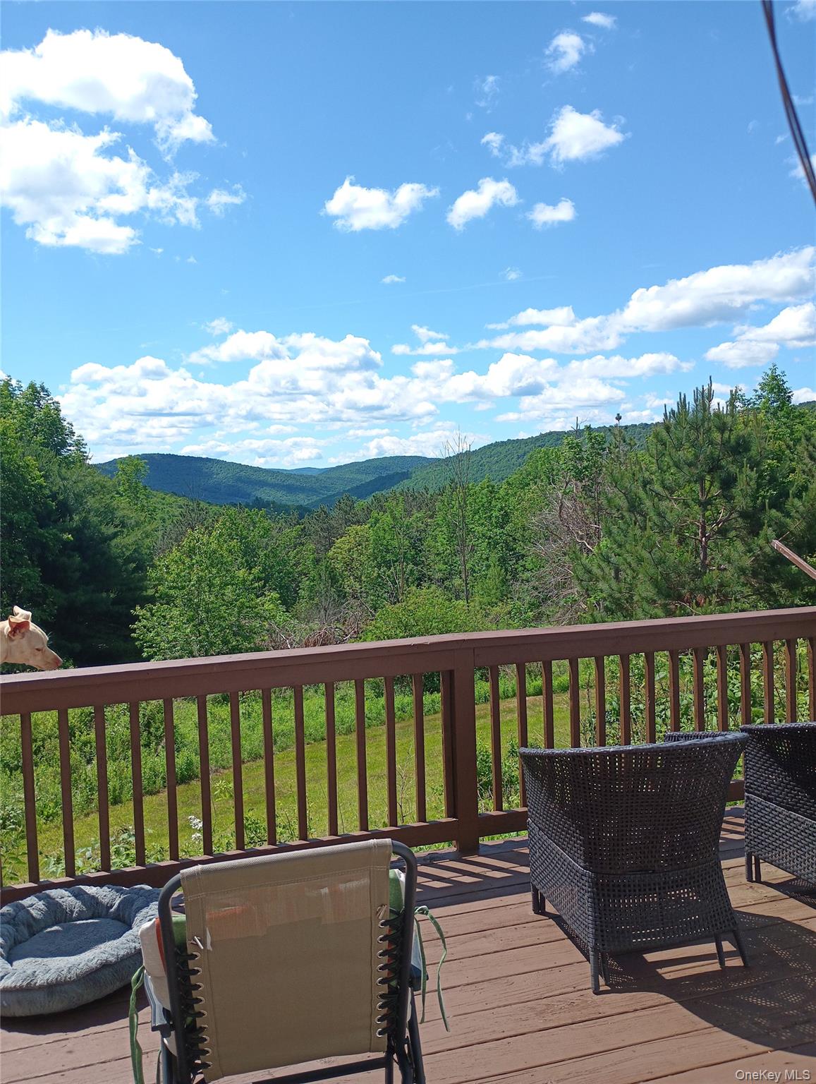 4323 Gregory Hollow Road Property Photo 2
