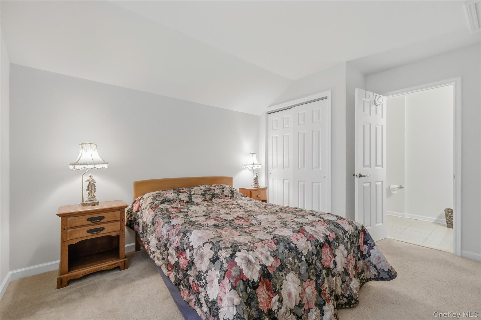 8 Atkins Court Property Photo 39