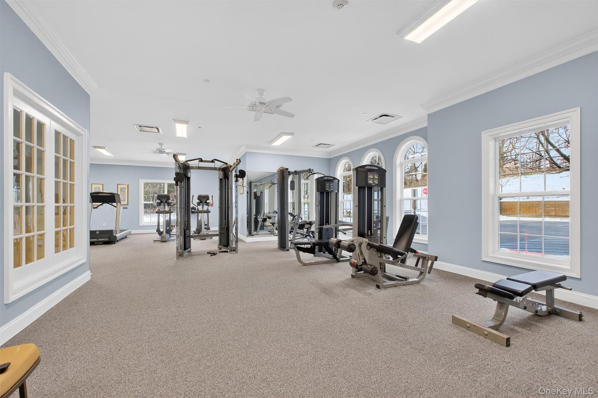 8 Atkins Court Property Photo 47