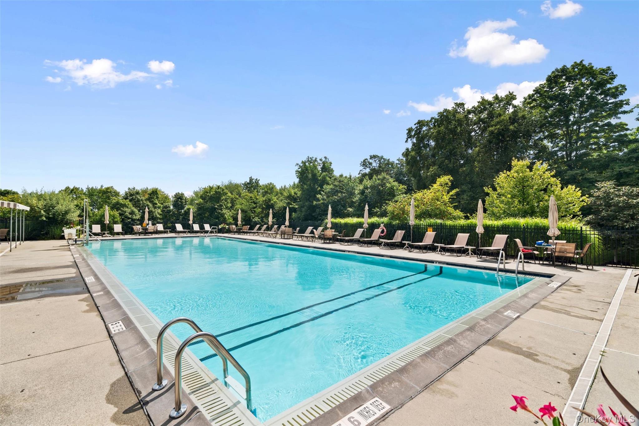 8 Atkins Court Property Photo 49