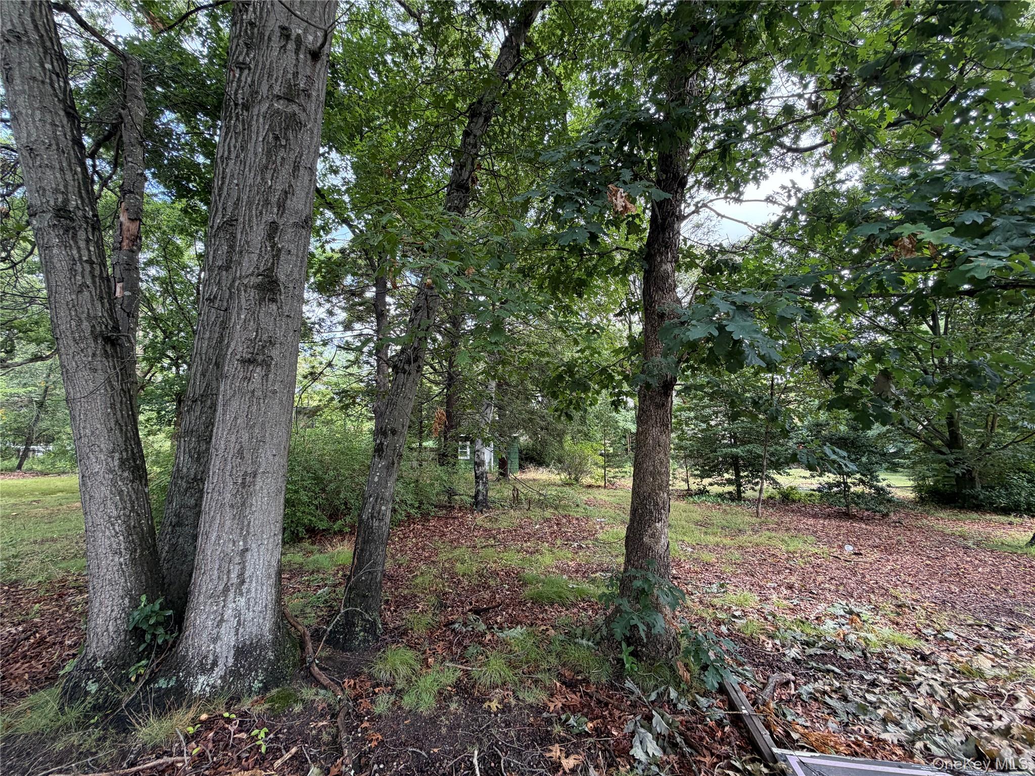 287 Amityville Street Property Photo 3