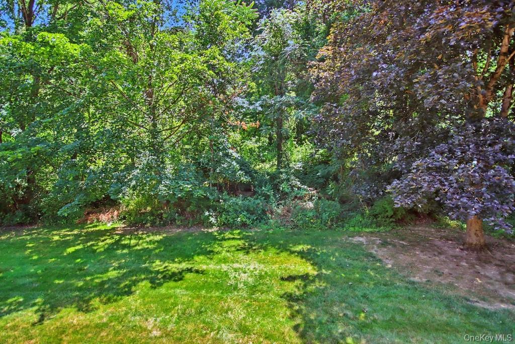 101 Elmcrest Drive Property Photo 34