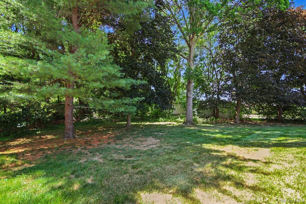 101 Elmcrest Drive Property Photo 35