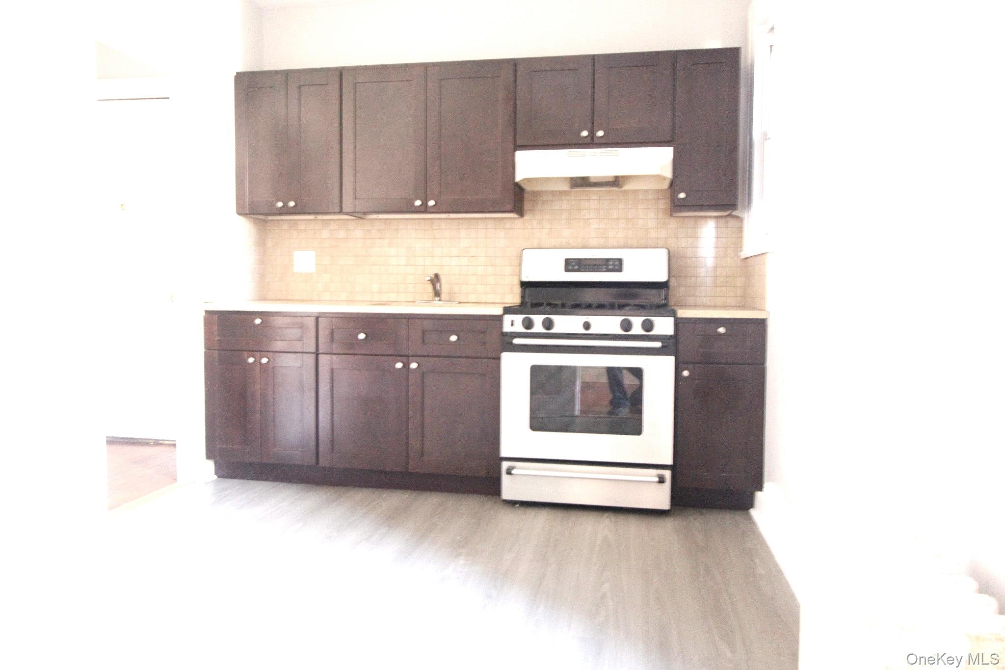 477 Merrick Road Property Photo 8